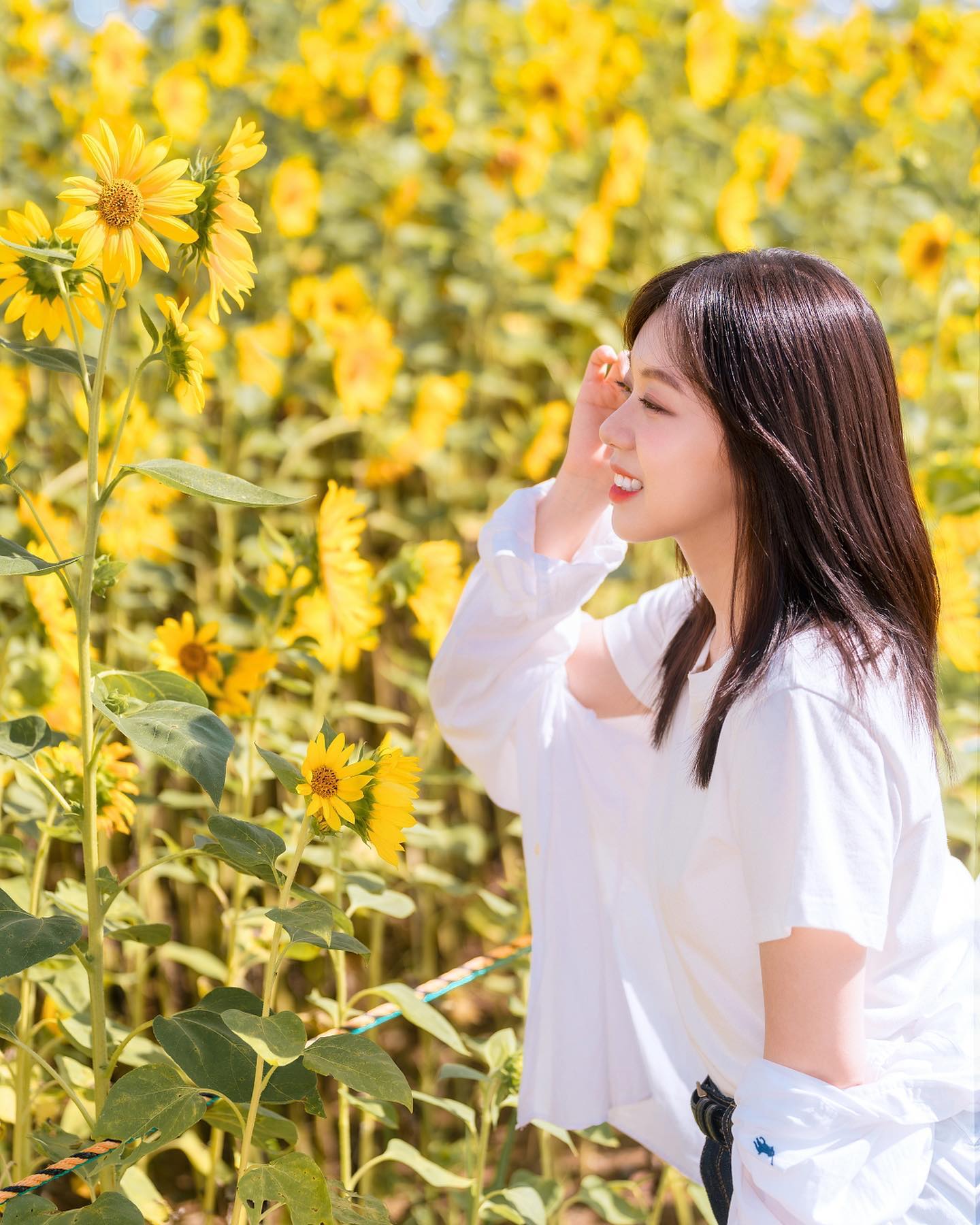 🌻