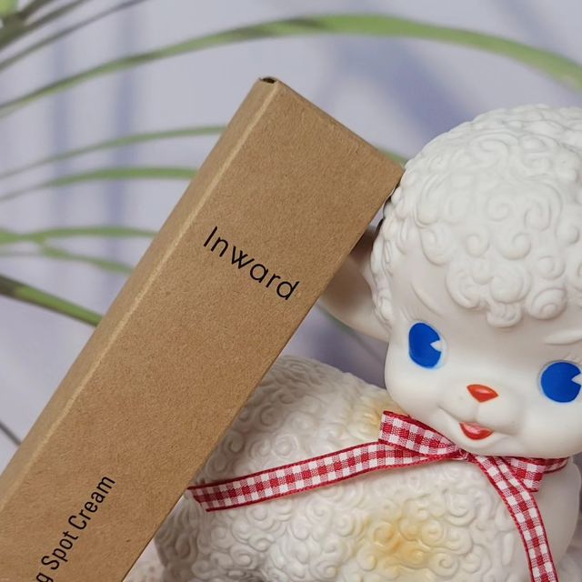 cocorocci on Instagram: "#광고#인워드#inward#기미제거#기미잡티#기미잡티제거#기미크림#잡티크림#미백크림추천#미백화장품#화이트닝크림#톤업크림추천#색소침착크림#피부미백#물광크림#광채크