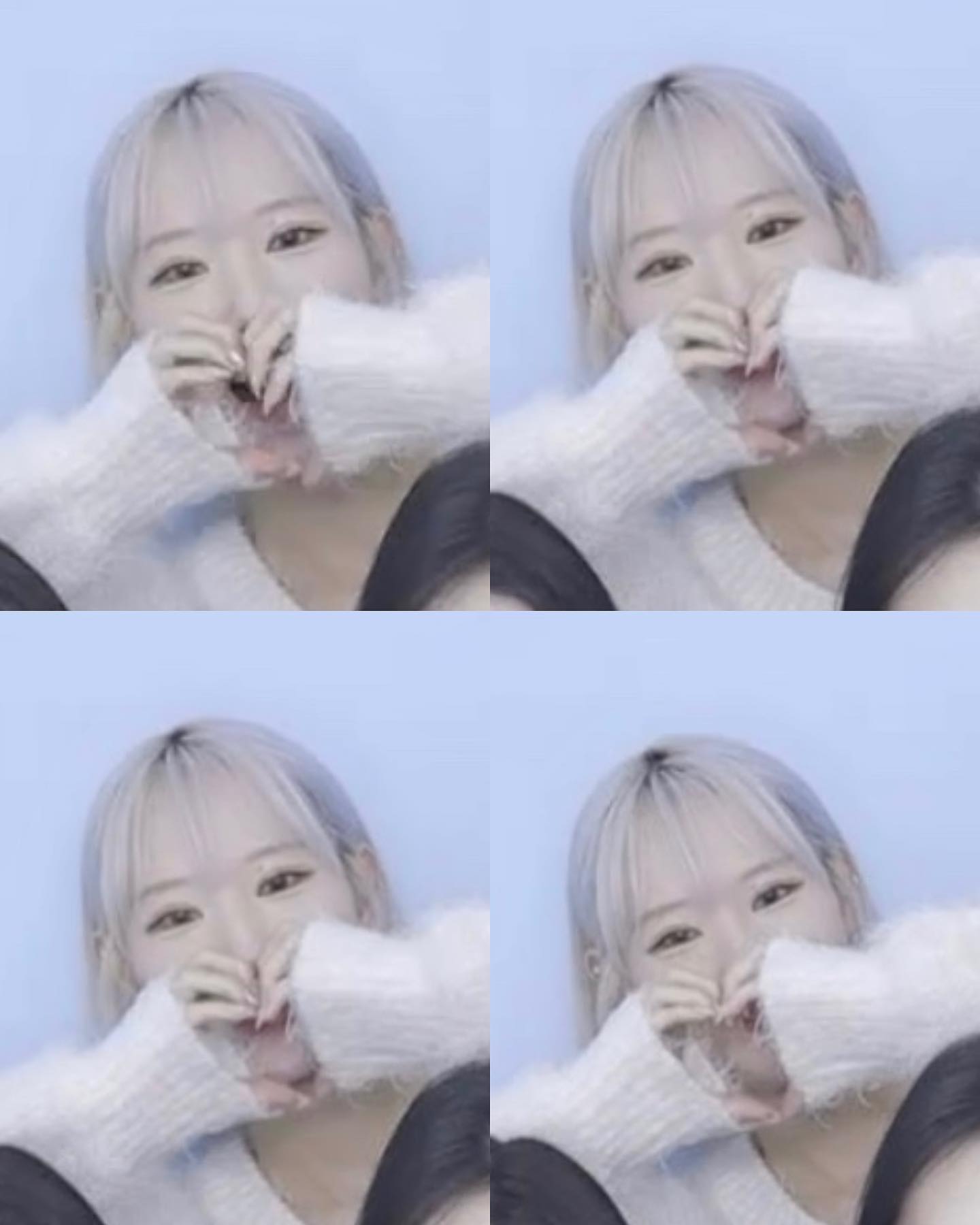 동뇽상 캡쵸