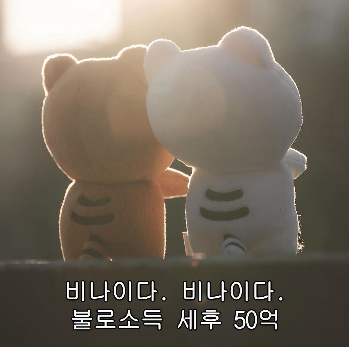 새해 복 마니 받으세요