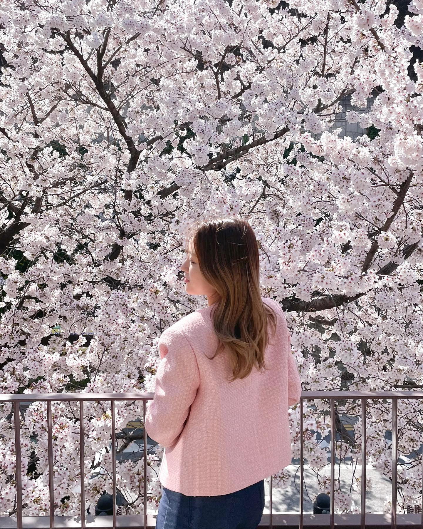 230327🌸

#아눅앞산

📍 대구 남구 앞산순환로 459 아눅 앞산
⏰ AM 10:00 - PM 22:00
🚗 건물 뒷편 주차 가능
(자리가 넉넉하지않아 일찍가시지 않으면 자리가 없을 수도 있어요)

대구 벚꽃카페로 가장 유명한 아눅앞산
인생 첫 카페 오픈런으로 다녀왔어요💓
평일 30분 정도 일찍 도착했지만,
이미 긴 줄로 테라스자리는 포기😭

2층 테라스자리 벚꽃이 유명하긴 하지만,
디저트와 시그니처커피가 너무 맛있어서 대구에 살았다면 종종 가고싶은 카페였어요🤭

#대구카페 #벚꽃 #벚꽃카페 #대구여행