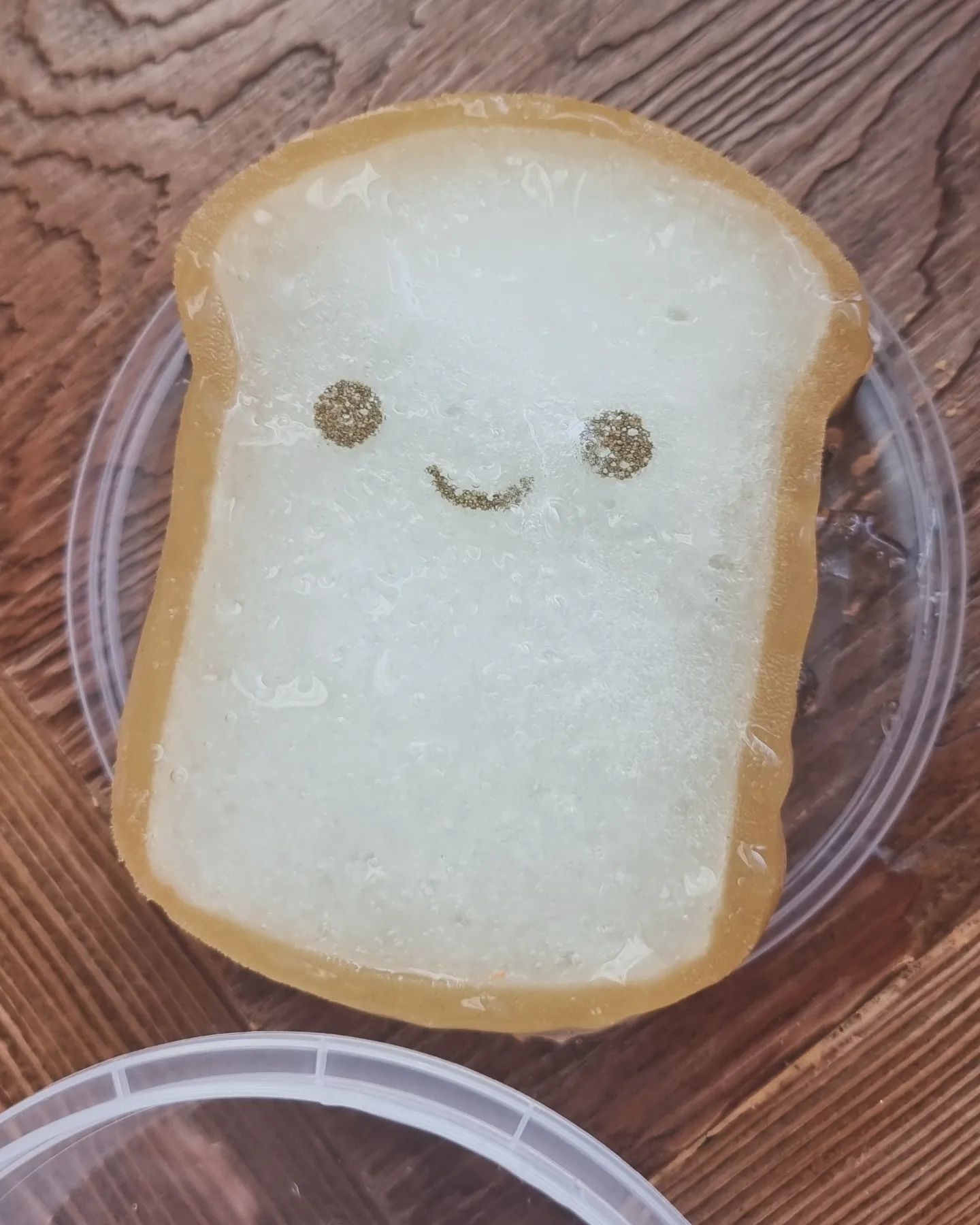 멘탈 탈탈 나갔었는데
요거나 가지고 놀아야지~!!
에휴...멋진회사원
멋진엄마되기 힘드네...
그래도 화이팅해야지~!!

#일상 
#일도육아도잘하고싶은엄마 
#아들둘엄마 
#아들스타그램 
#그래도발전하는중