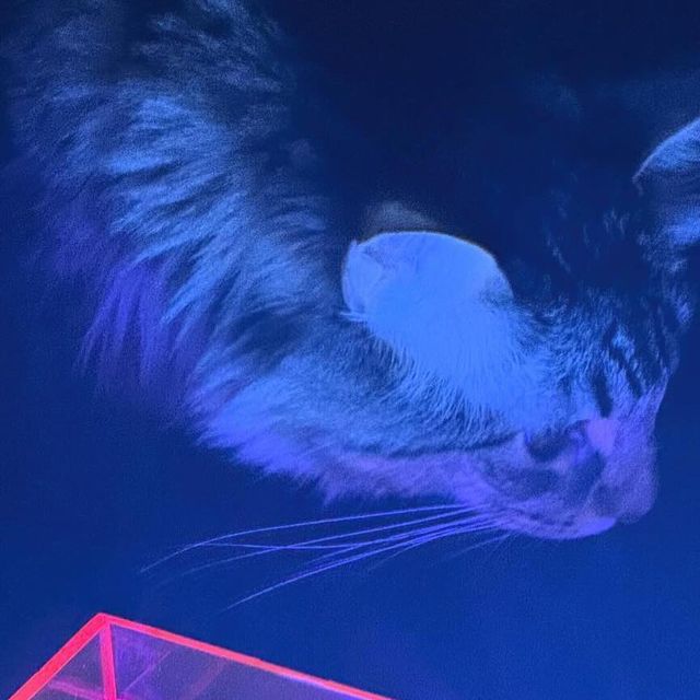 김혜미 on Instagram: "#협찬 분위기 미치게 만드는 힙한 무드등 해피먼데이즈_LED 네온 박스 조명 우리집 분위기는 따듯한 편인데 무드등 키면 힙순이네 집 👍👍 #광고 #해피먼데이즈 #LED네온