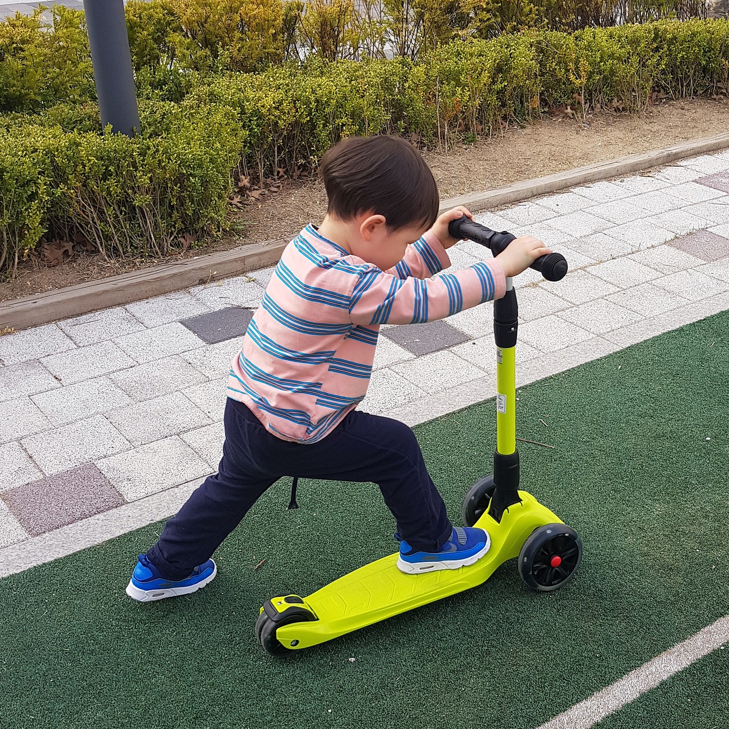 우리아들 처음으로 킥보드 성공한날
몸쓰는거 잘하는 편 아니라서
수시로 나가서 연습했는데 드디어 성공

#일동후디스 #트루맘 #트루맘챌린지 foodis_truemom