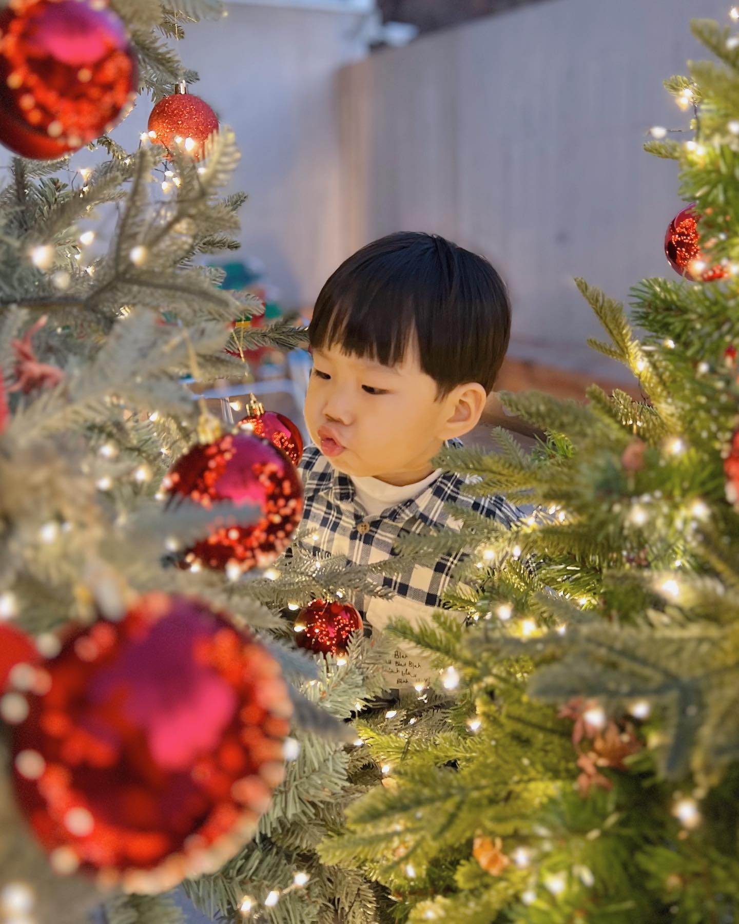 #
세번째 크리스마스🎄
오너먼트에 비친 본인과 뽀뽀할 기세
흥이 넘쳐요🎉