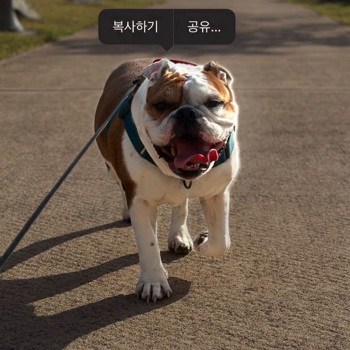 ♥️
넌 행복이고 사랑이야