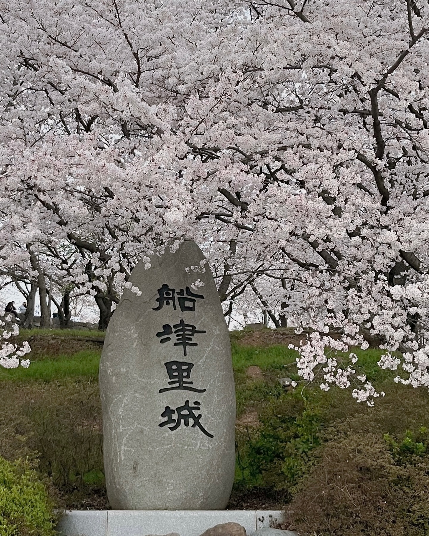 콘텐츠