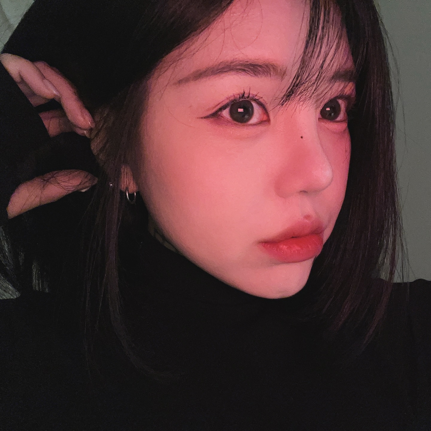돌체라떼 개 땡긴다