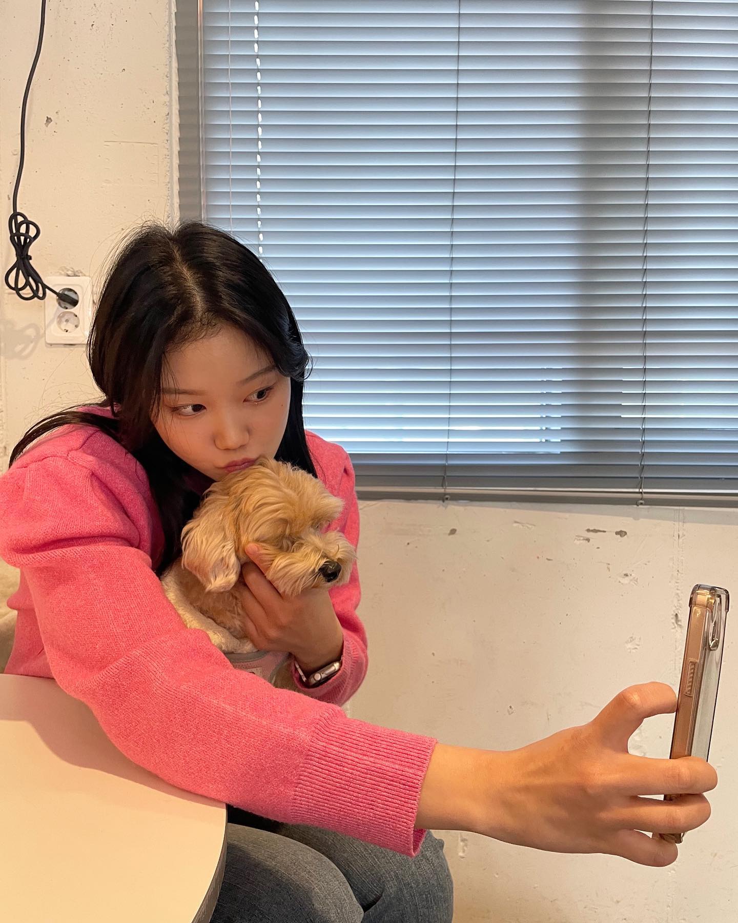귀여운 강아지 친구들