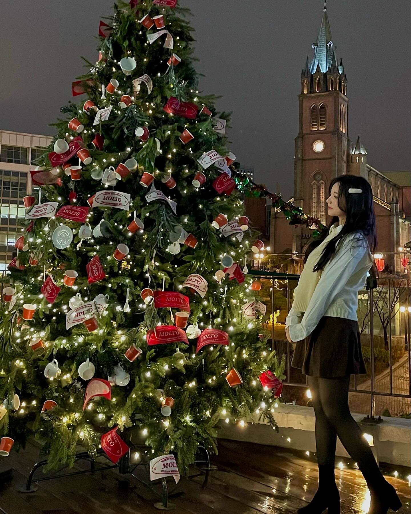 연말 스타또🎄