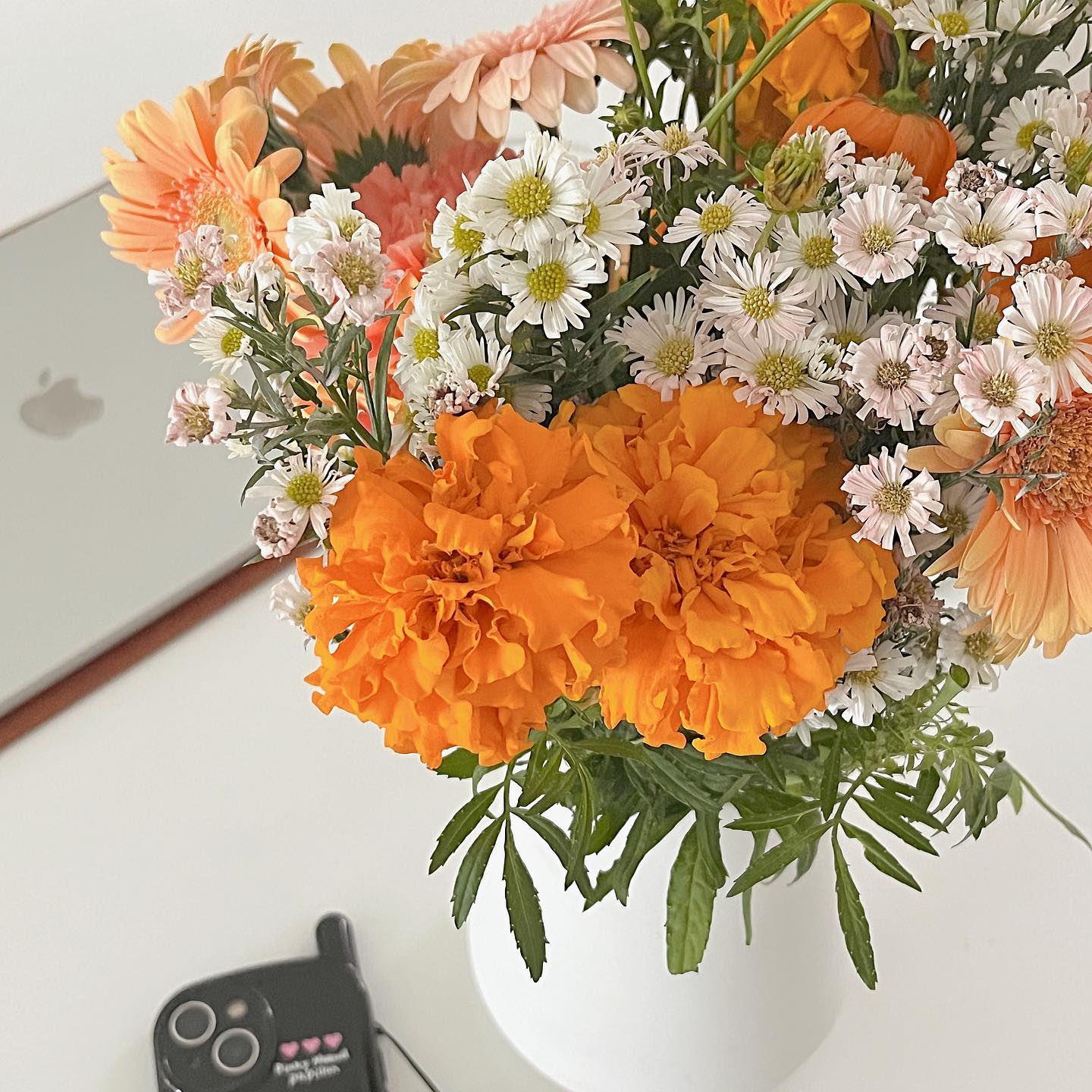 🧡
예쁜꽃과 함께 하는 10월:)
꽃과 초록이 지분이 자꾸 늘어나는 피드, 가을이에요😝

#식물 #꽃 #꽃다발 #심플라이프 #미니멀라이프 #일상