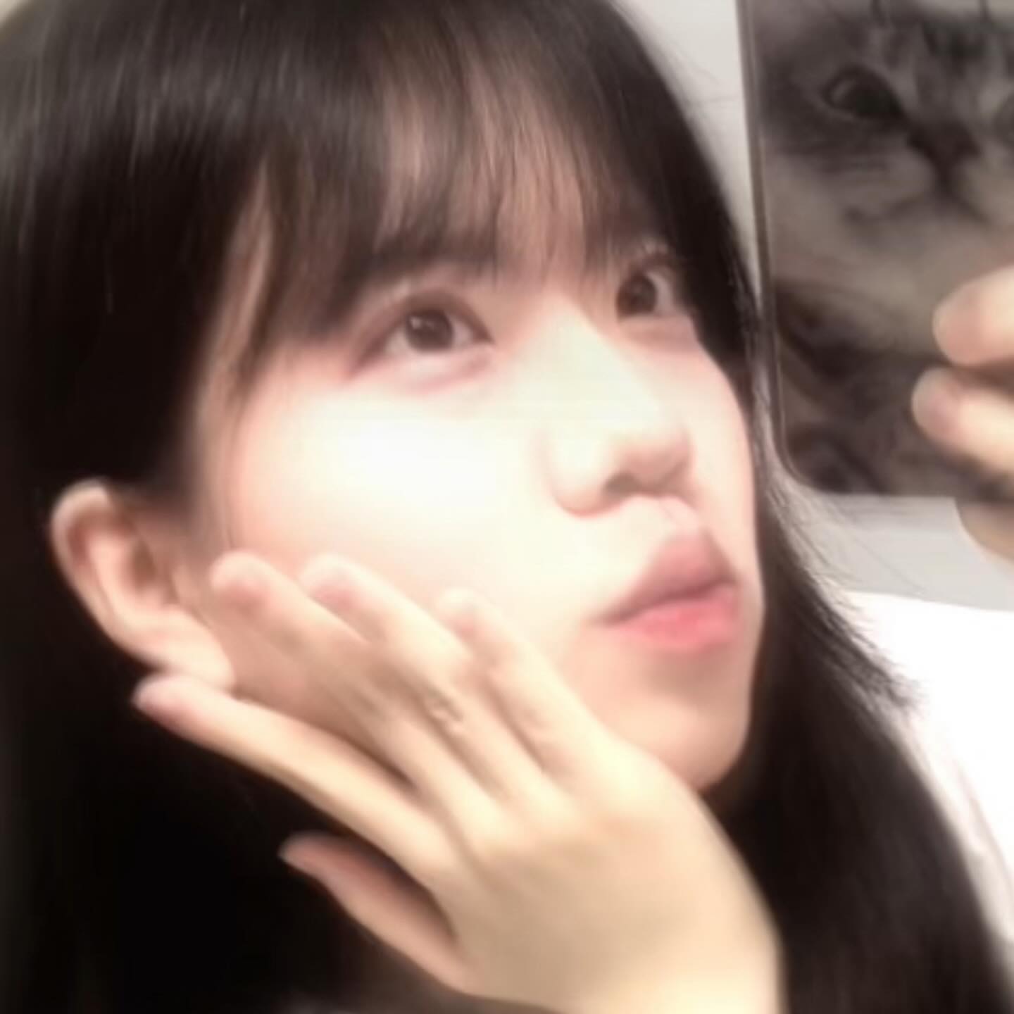 콘텐츠