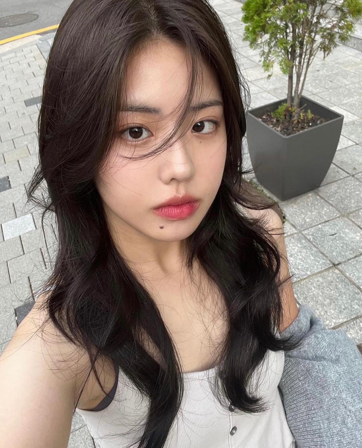 콘텐츠