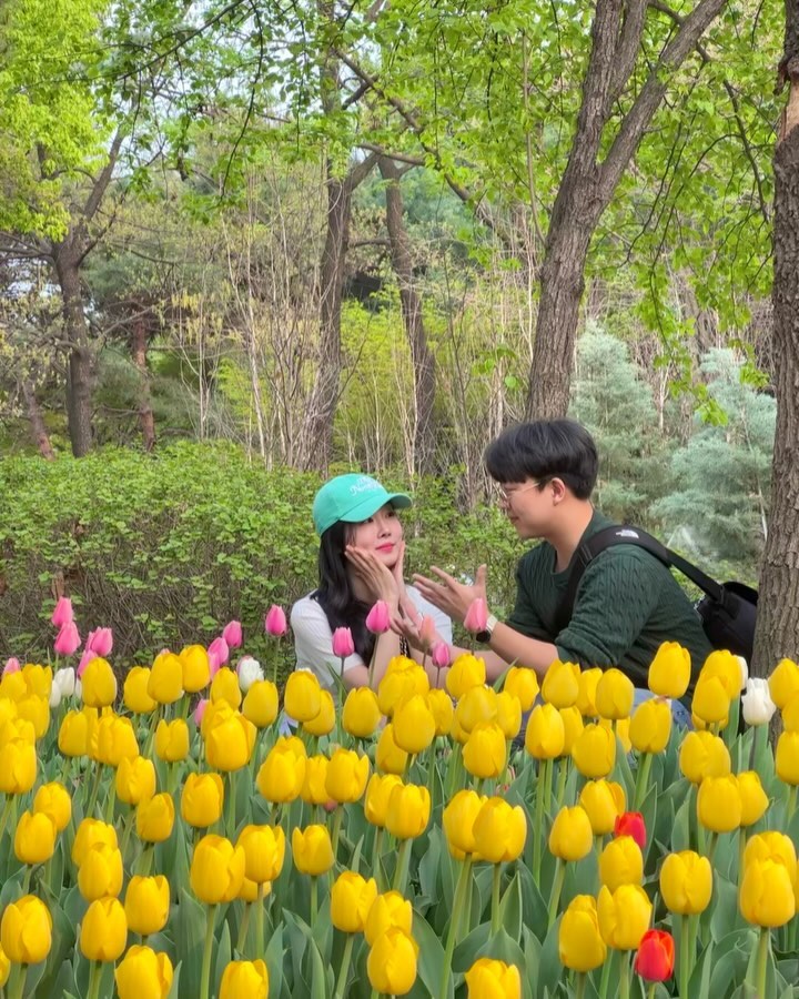 🌷🌷🌷🌷🌷