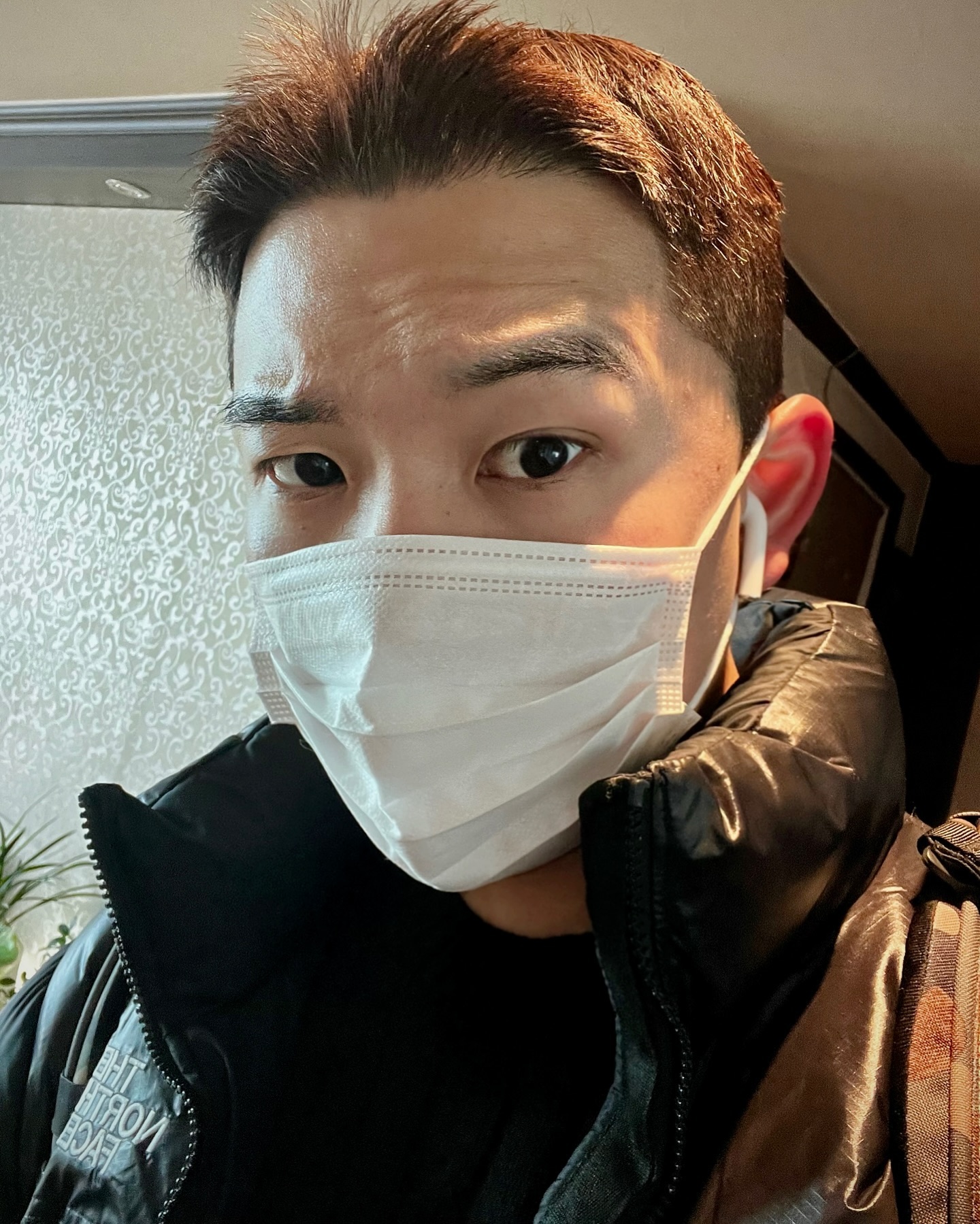 콘텐츠