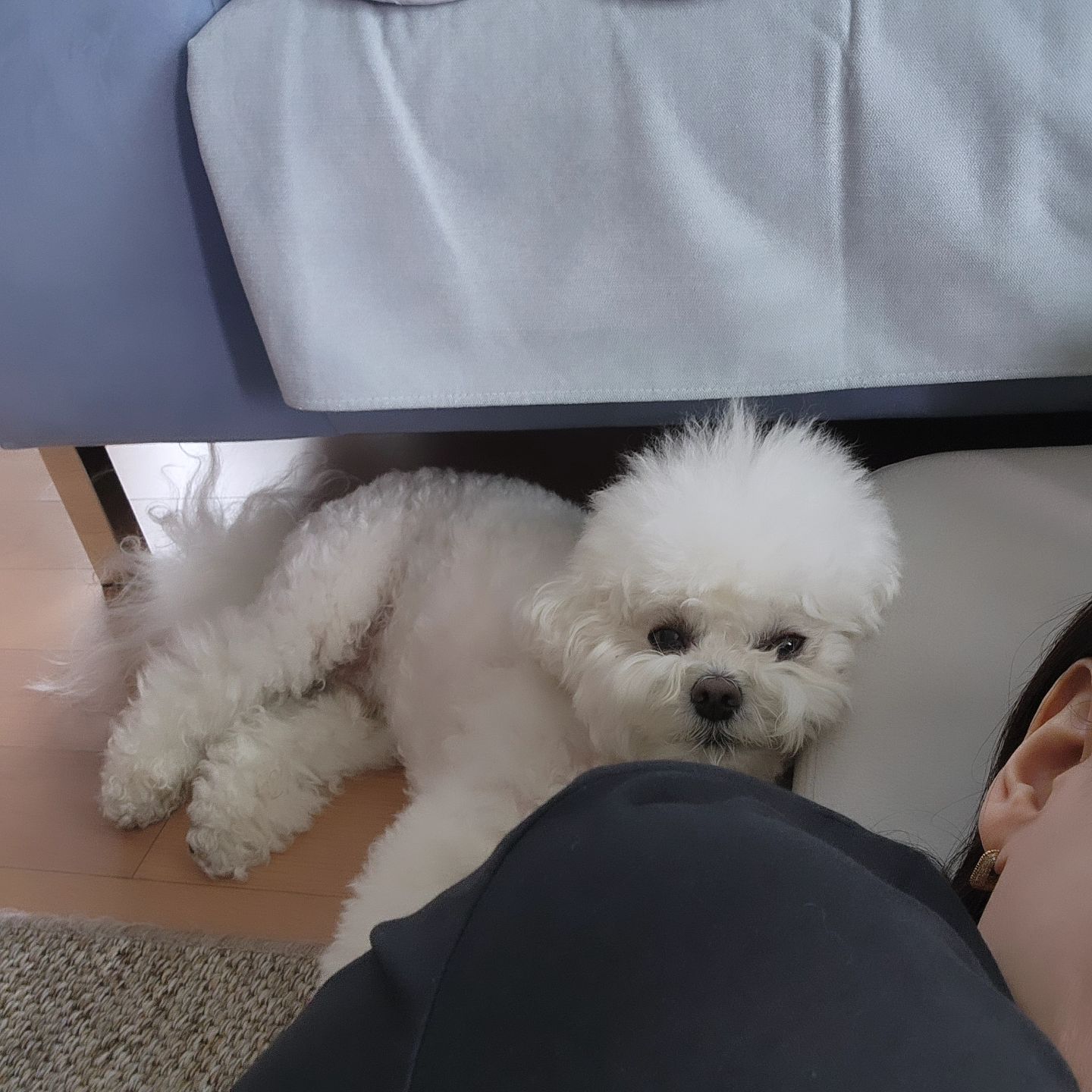 애들 앞에서는 행동을 조심해야 한다더니~😥
토토계단을 베고 누워있었더니 똑같이 따라해요.
목이 꺾일지경~ #따라하지마
이러다 우리 목디스크 생긴다😭
내가 잘못했어 🤣🤣🤣

#바른자세 #목디스크 무서움
