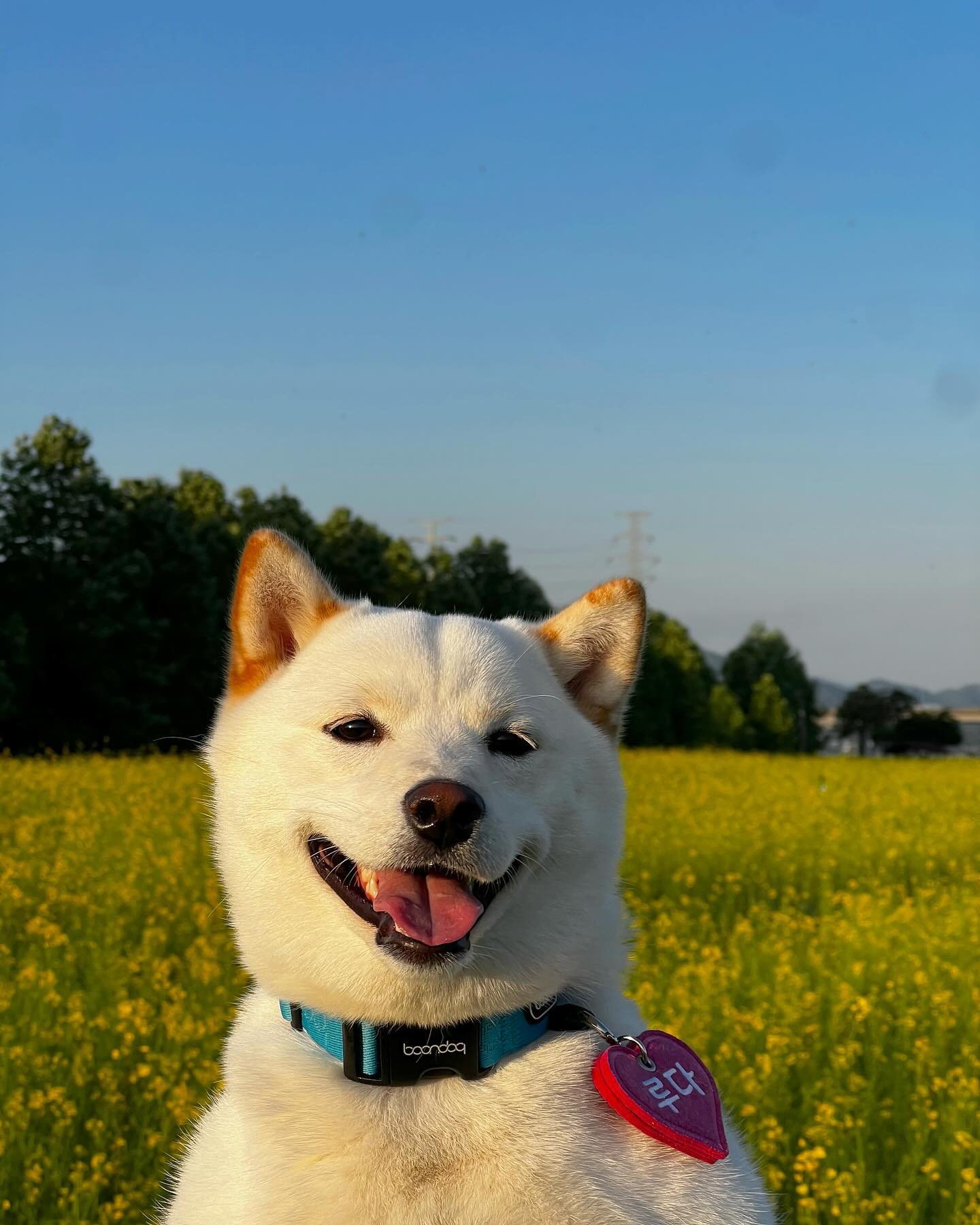 나눈 사진찍는거 조아😋