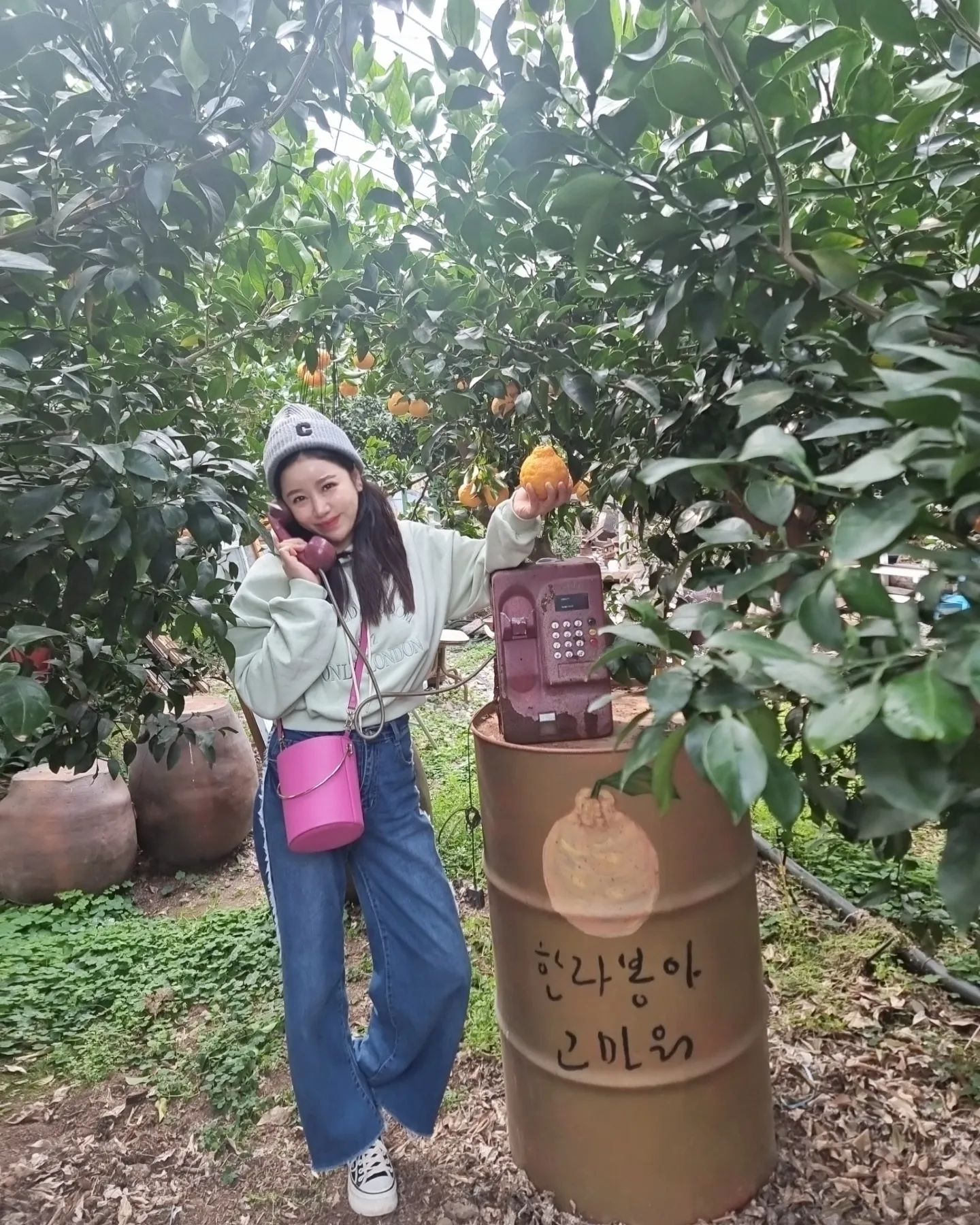 제주에서,
자유부인 만끽중😝

#쇠소깍 #쇠소깍산물관광농원 #한라봉농원 
#제주빈티지카페 #제주관광지추천 #제주에서
#자유부인놀이 #신난다신나🎶 #아름아 #고마워❤️