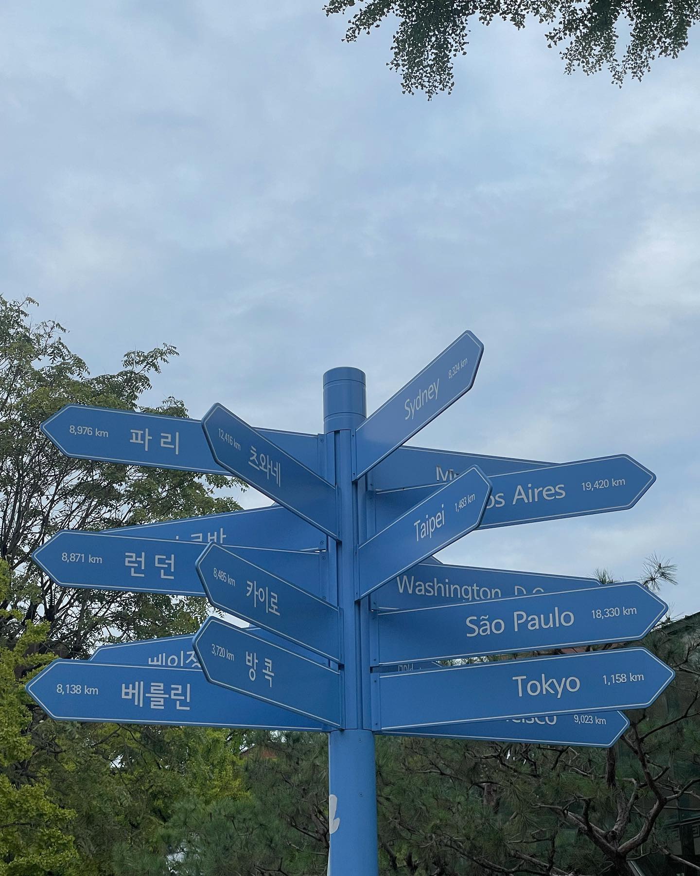 콘텐츠
