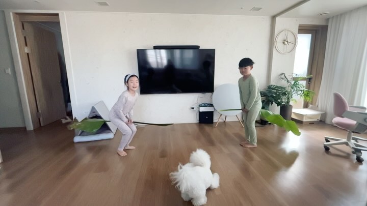 여인초가 시들어서 잘라냈더니
장난감이되었네ㅋㅋ 귀여운로이는 깜놀
#겨울방학
#쌍둥이육아 #예비초4