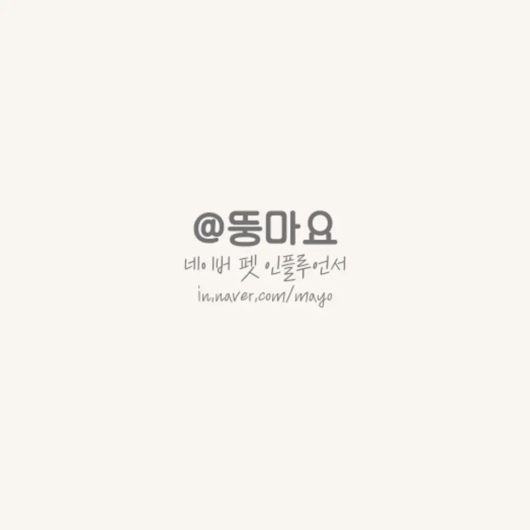 🌳네이버 검색창에 @뚱마요 검색하고 놀러오세요
#네이버펫인플루언서 #뚱마요