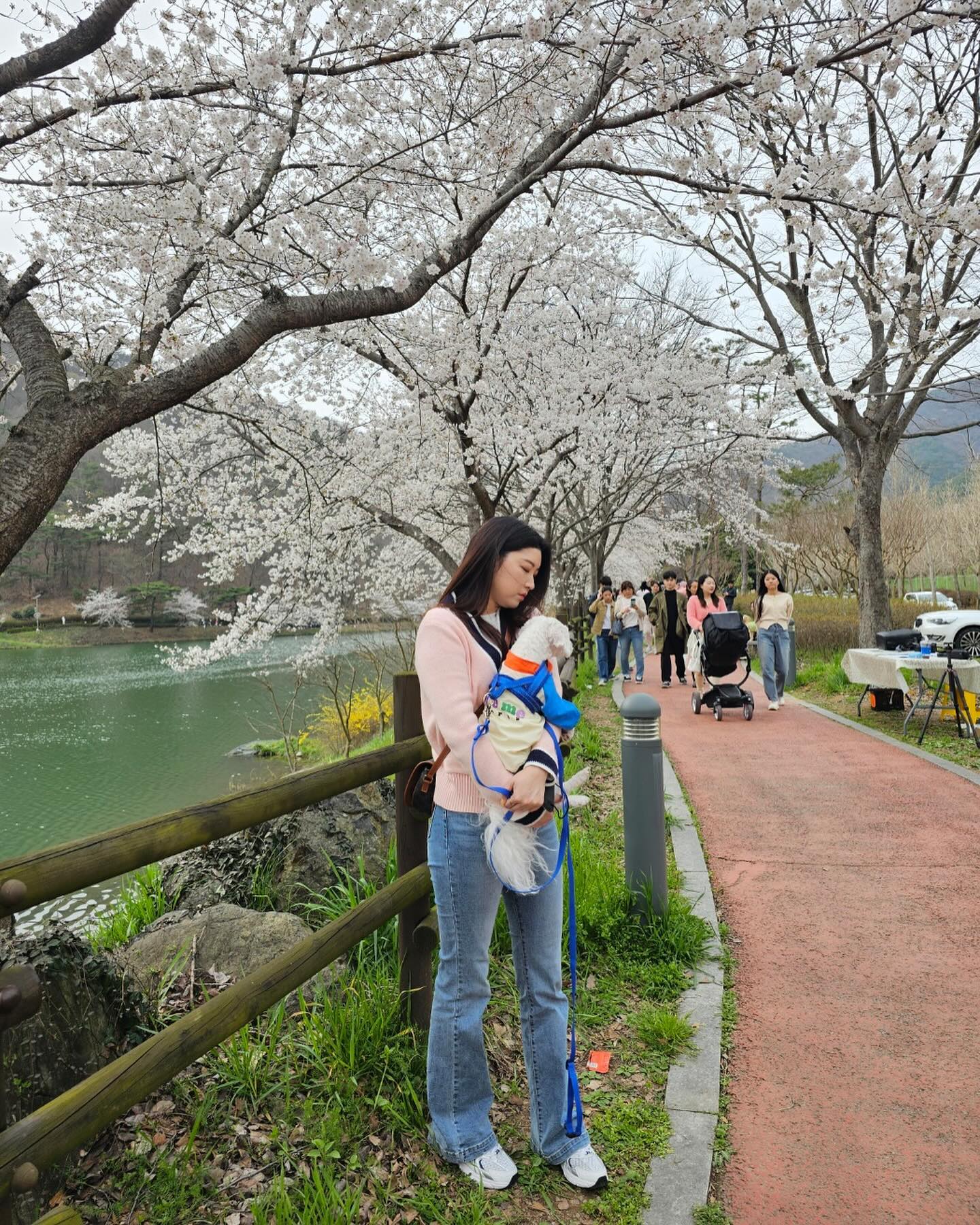 여름에는 물구경, 가을에는 단풍구경, 겨울에는 눈구경, 봄에는 벚꽃구경까지 완료🌸