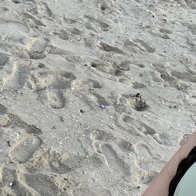 @xezxynn on Instagram: "#나트랑 가세요 모두 ••• 🤍🏝️"