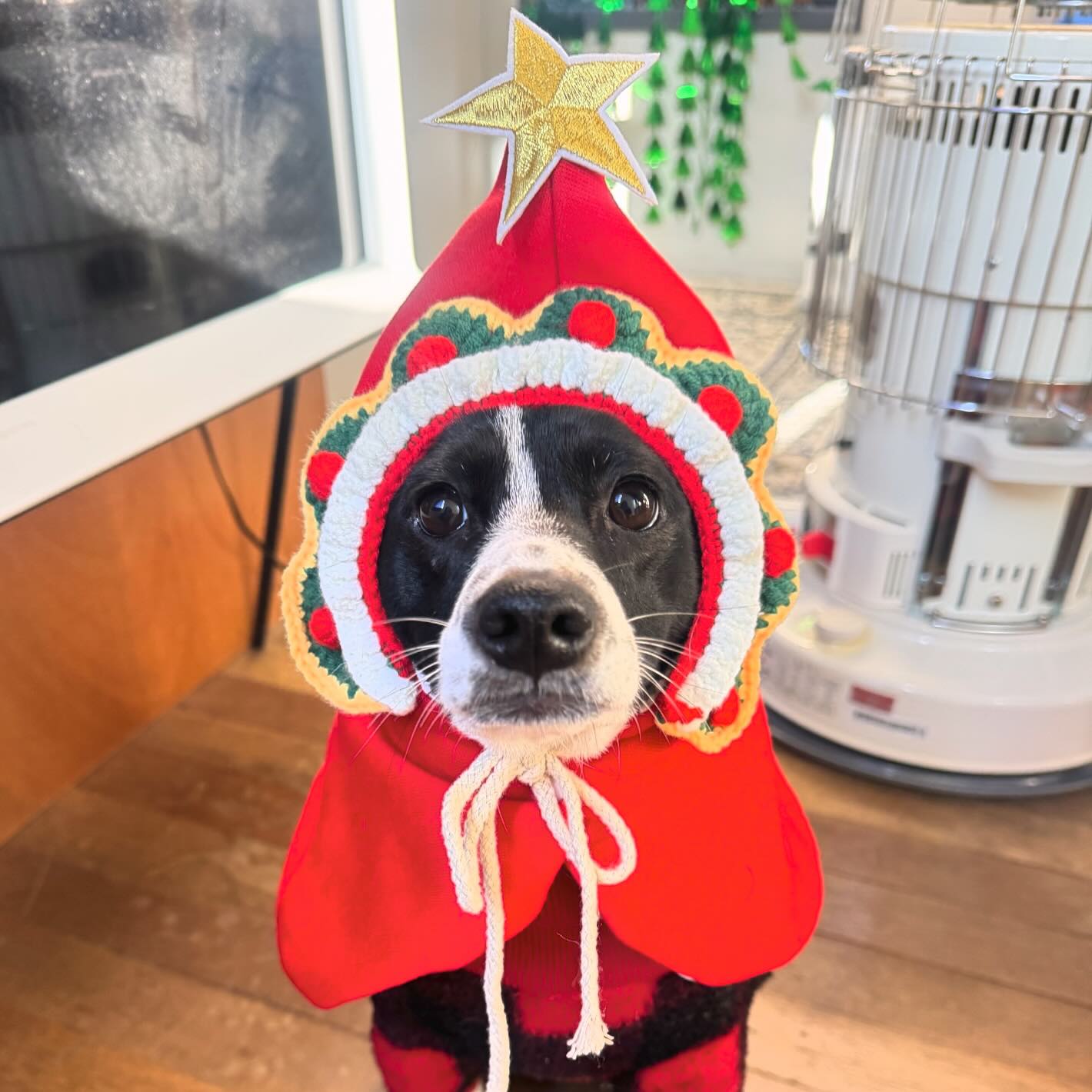 메리크리스마스 였지 🎄♥️