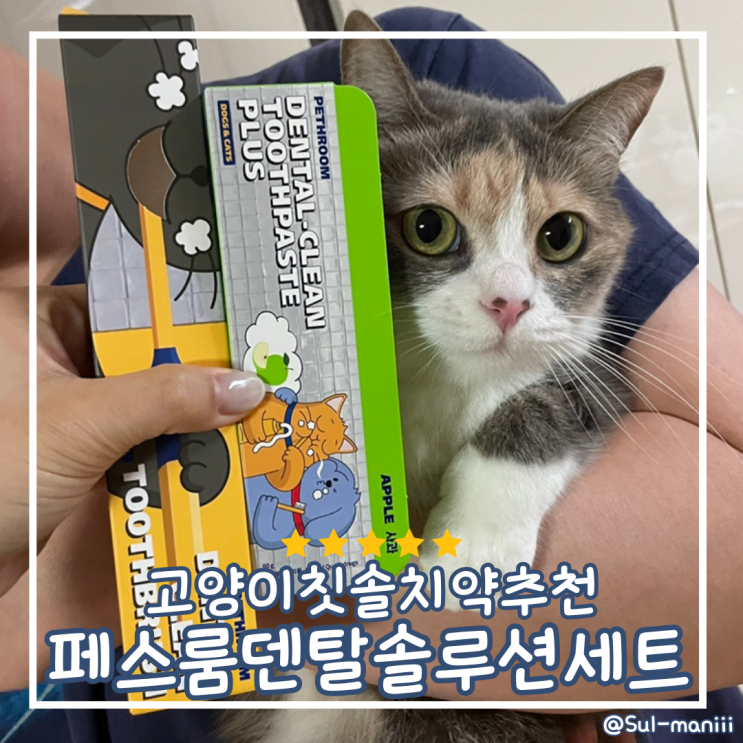 [고양이칫솔, 고양이치약] 고양이구강관리제품 추천 페스룸칫솔치약 (덴탈솔루션세트)