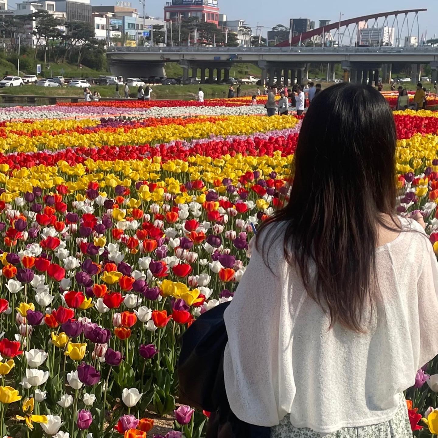 버스킹 뒷북 🌷🩷