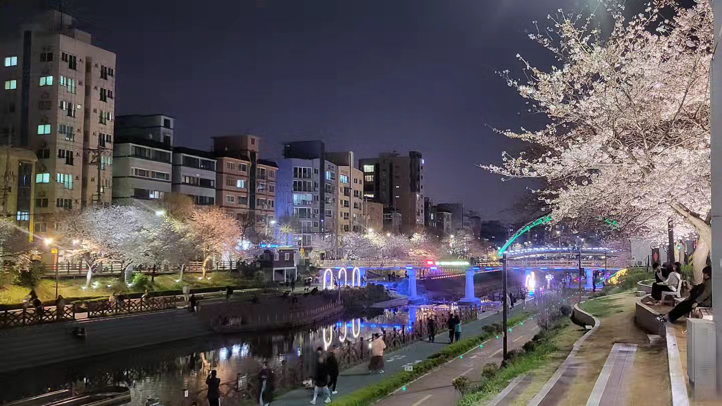 명당자리