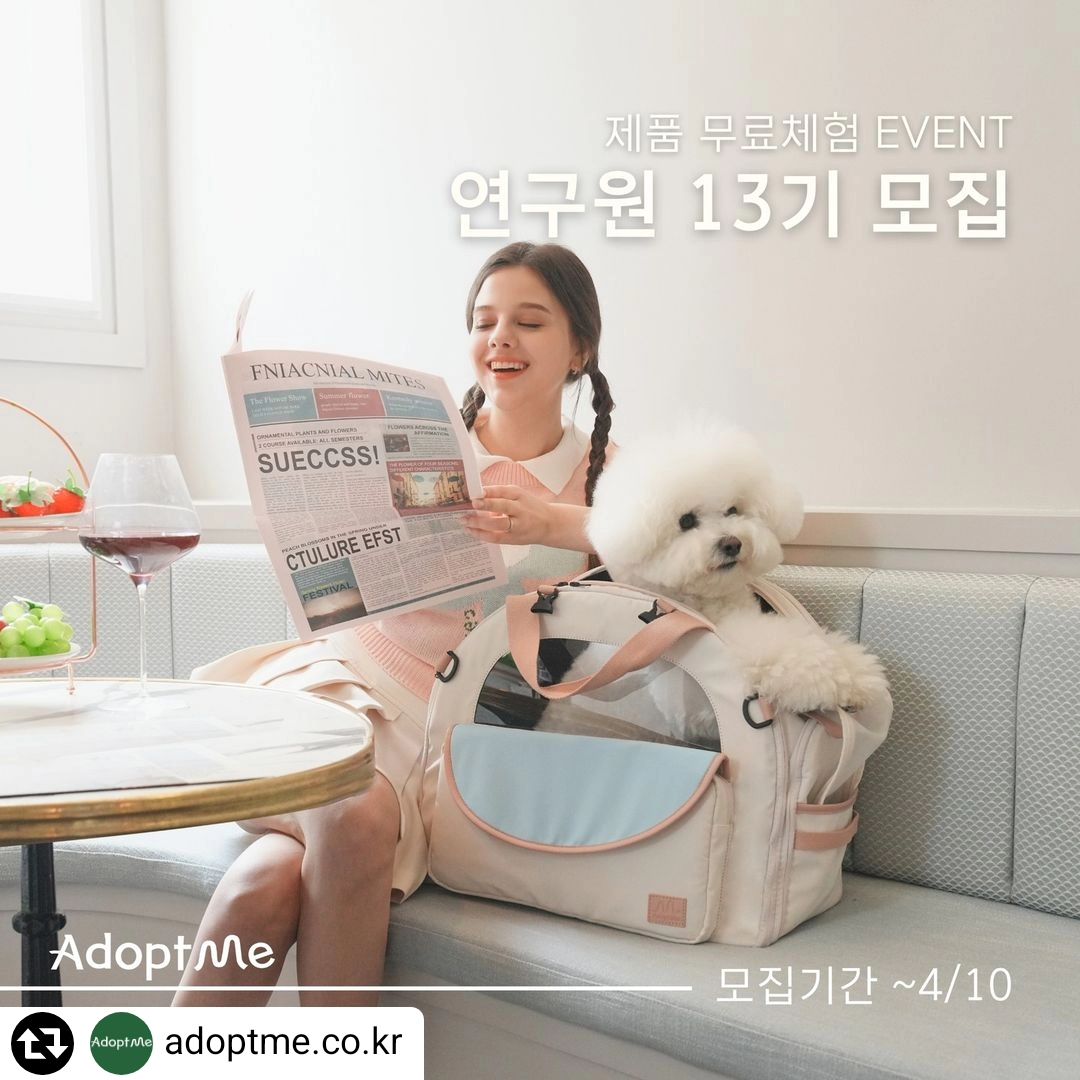 #리그램 - adoptme.co.kr by get_regrammer
많은 분들이 기다리셨을! 어답트미 전제품 무료체험 기회 EVENT!!!🎉
어답트미 연구원 13기 모집 소식을 들고 왔습니다!❤️

이제 곧 봄날! 꽃놀이🌸여행시즌✈어답트미 시즌!!!!

5월 말~6월 초 으마으마한 신제품 출시 준비를 하고 있단 소식도 살짝 스포? 함서 모집 소식 안내드려요!

📆모집기간: ~4월10일까지!

📋모집인원: 10명

👋지원방법:
1️⃣ 팔로우는 필쑤
2️⃣전체 리그램 (스토리 리그램/일부 리그램 NONO)
3️⃣www.adoptme.co.kr/37 링크 들어가서
신청서 접수❤️버튼 누르고 접수하기!

👑연구원 혜택: 14만원 상당 어답트미 제품 무료체험

🎉당첨발표: 4월15일 (공식 인스타그램)

📌채용합격Tip📌
-성실하게 저희 연구원 활동을 해주실 열.쩡.적인 분을 원해요!🤗

-평소 일상/재밌는 컨텐츠를 활발히 올리시는 분들을 눈여겨 봅니다
(협찬/이벤트 신청 컨텐츠로만 가득이시면..바뿌신가 보다 하고 저흰 소심하게 물러나욤..🤣)

-영상&사진 예쁘게 잘 찍는 분이시면 초우대로 합격각❤️

-저희 제품에 대해 애정&관심 MAX이신 분이면 폴인러브😍

PS. 재입사 지원 조건: 기존 활동하셨던 연구원 분들 중10~12기수분들을 제외 하고 재지원 가능합니다!😊

어답트미와 함께 하실 우리 열쩡 가득 금손 댕냥이 친구들 어서 지원 해주세요!!!

#강아지이동가방 #고양이이동장 #강아지집 #고양이집 #노즈워크 #고양이가방 #강아지가방 #어답트미연구원 #체험단모집 #어답트미쉼하우스 #어답트미쉽고백팩 #쉽고백팩 #더엘타워스크래쳐 #고양이스크래쳐 #무료체험 기회!