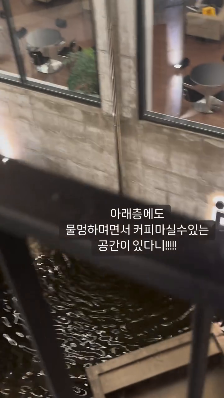 시어른들 뵈러 가끔씩 가는 경주
이렇게 멋진 대형카페들이 많았다니...!

오늘 가본곳은 #르씨엘경주 입니다🤚
입구에서부터 스케일에 압도되어버렸네요
저는 저녁에 갔다왔는데 낮에가면 더이쁠거같아요

주차공간도 넉넉하고
커피도 베이커리도 맛있었습니다❣️

르씨엘경주
📍경주 경북시 석장동 1174
📍10:00~22:00

#경주카페#경주카페추천