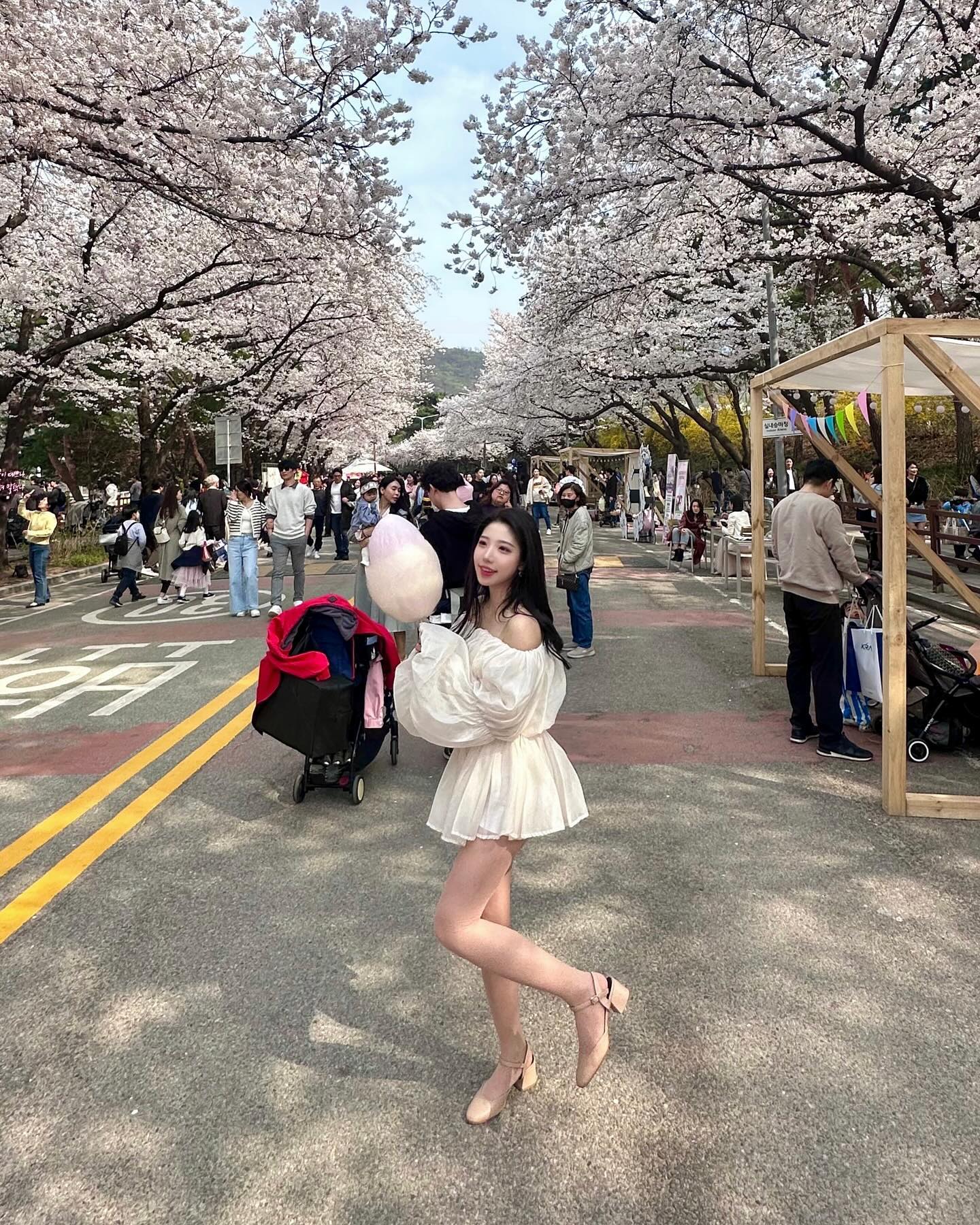 왜 벚꽃들이 벌써 떨어지냐구요 🥺