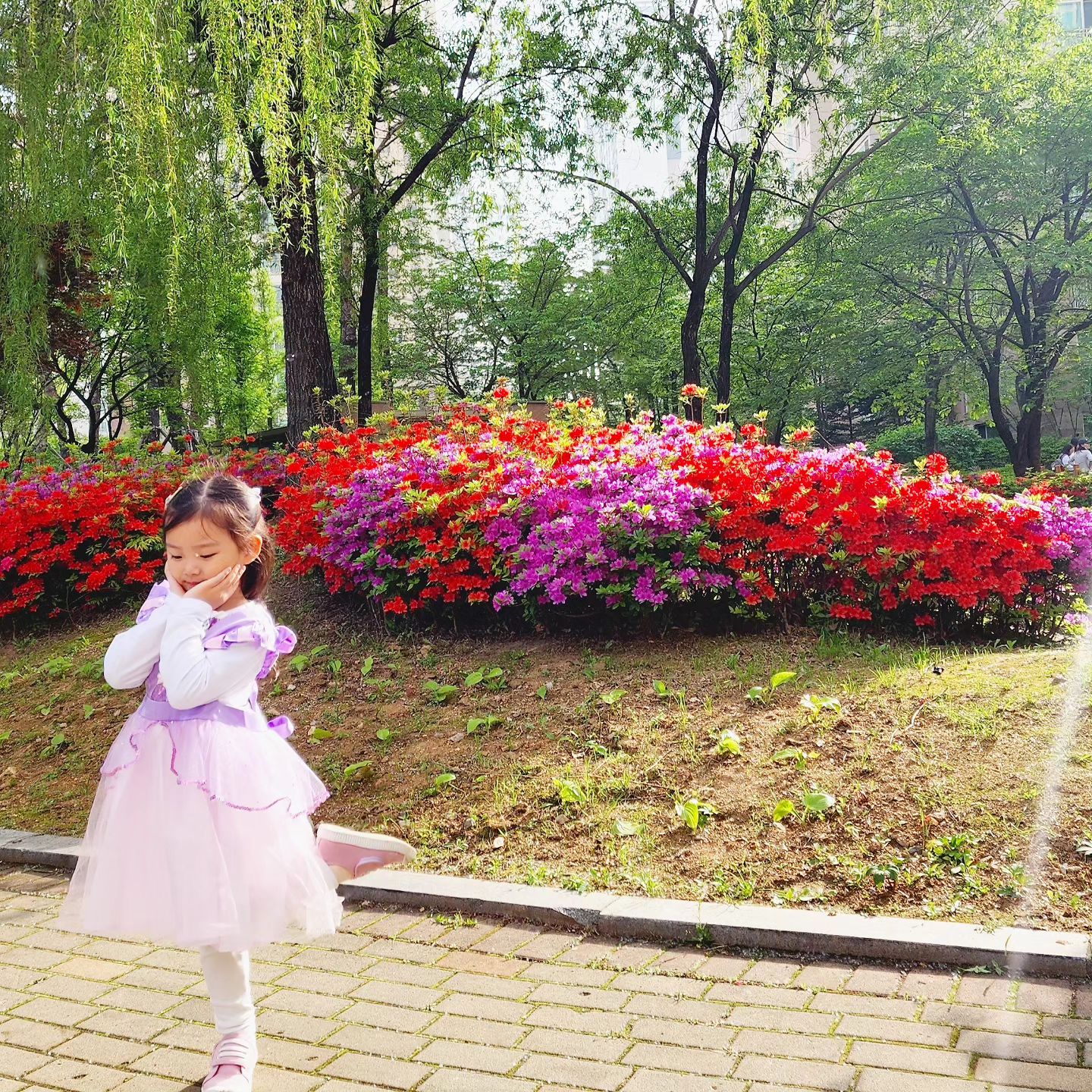 여러분~ #공주님 찾으셨나요? 요기있어요👸🩷

봄~봄봄 봄이 왔어요~
아파트 단지 안 도 꽃 세상으로 변신했어요~
여길 봐도 저길 봐도 알록~달록~
꽃가루 가득이지만 너무 아름다운거있죵😄

오늘 서아의 사진들 보면 발 끝이 포인트에오😎
공주님 포즈라고 발끝 쑤욱! 올리기! #꽃받침 도 필수!
#포즈장인 #키즈모델 녜에ㅋㅋㅇㅕ기용ㅋㅋ💃
 
오늘 사진에 서아 오딧죠?꽃 밖에 안보여요?!!
#도치맘 녜 요기요 크크😍

오늘의 코디 역시 서아의 픽들~
이제 엄..마..도.. 조금 즐겨요..
그 전에는 ..꼭..신어야겠어?꼭?입어야겠..어?..였다면
이제 나름 추천도 해준답니다 크크

이제는 반짝반짝 화려 그 자체 옷,가방,구두 뭐....
나름 정도 들고 보다보니 사랑스럽고 예뻐요ㅋㄱㅋ
한때라던데 웅🤍 하고싶은거 다 해 보아😍🤍

오늘은 날 좋아서 오늘 하원하고 엄마빠랑
#물총놀이 #비눗방울 놀이 실컷 하고
사진도 잔뜩 찍고 왔지용👨‍👩‍👧‍👦

스토리보고 버블건! 제품정보 문의 많았는데,
내일 따로 피드로 소개해볼게요👍

#라푼젤 #공주 서아에게
오늘도 엄마아빠와 함께 한 기억이 따듯하게 남길❤️
 
 
 
 
 
ㆍ
ෆ24.04.25.D1500ෆ
#미니미니이야기 #미니미니이야기_49개월
