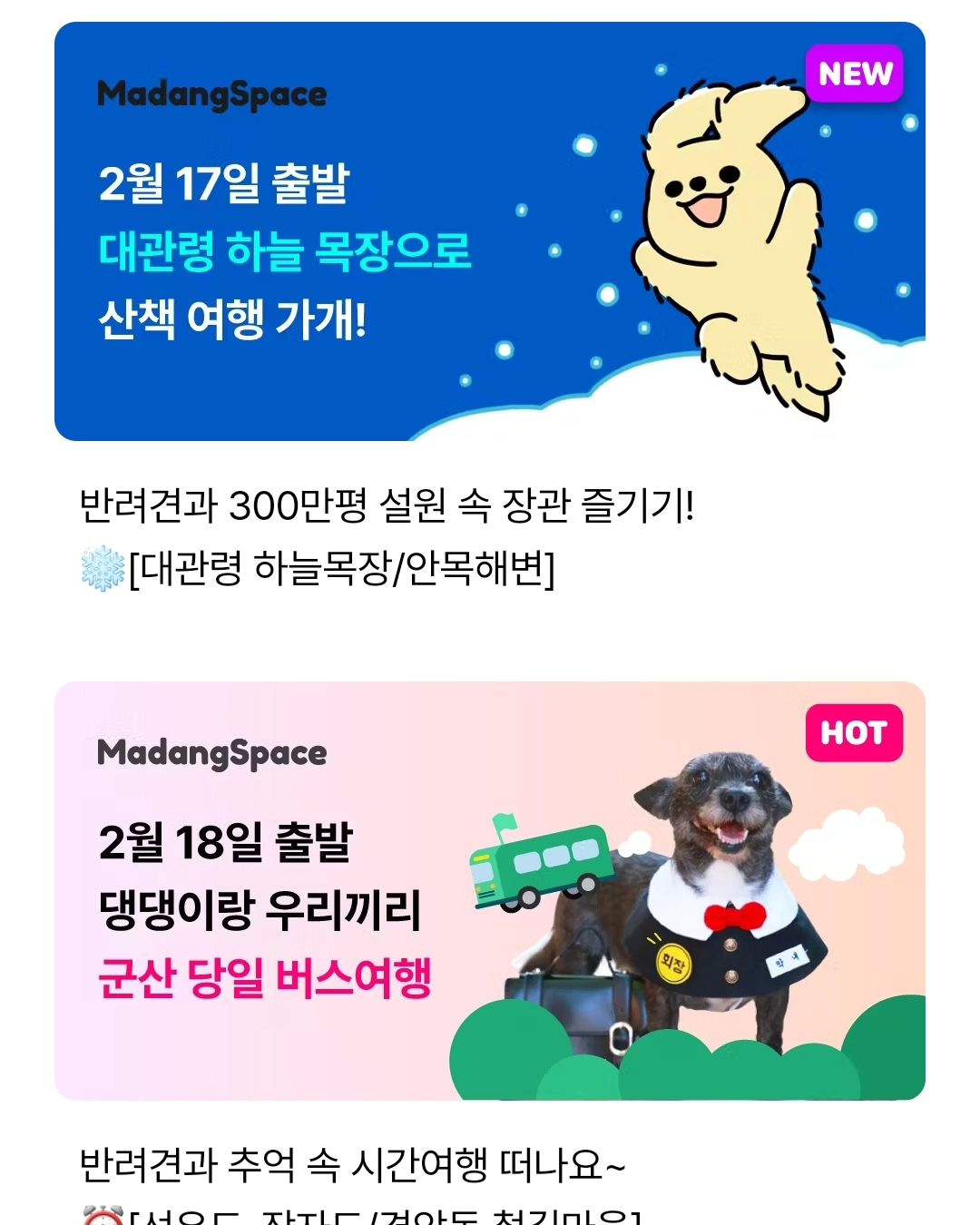 포동 반려동물 커뮤니티 앱에서는 요렇게 반려동물과 함께 가는 패키지 여행도 있다고 해요. 

반려인들과 소통도 하고 이렇게 패키지여행도 보기 쉽게 되어 있어 👍👍

반려동물 키우는 분들 끼리 가는거라 눈치 볼 필요도 없고, 한눈에 보기 쉽게 되어 있어 좋더라구요!!

🌈 fordong_official 

#포동 #반려견 #반려동물 #댕댕이여행 #강아지커뮤니티플랫폼 #강아지패키지여행