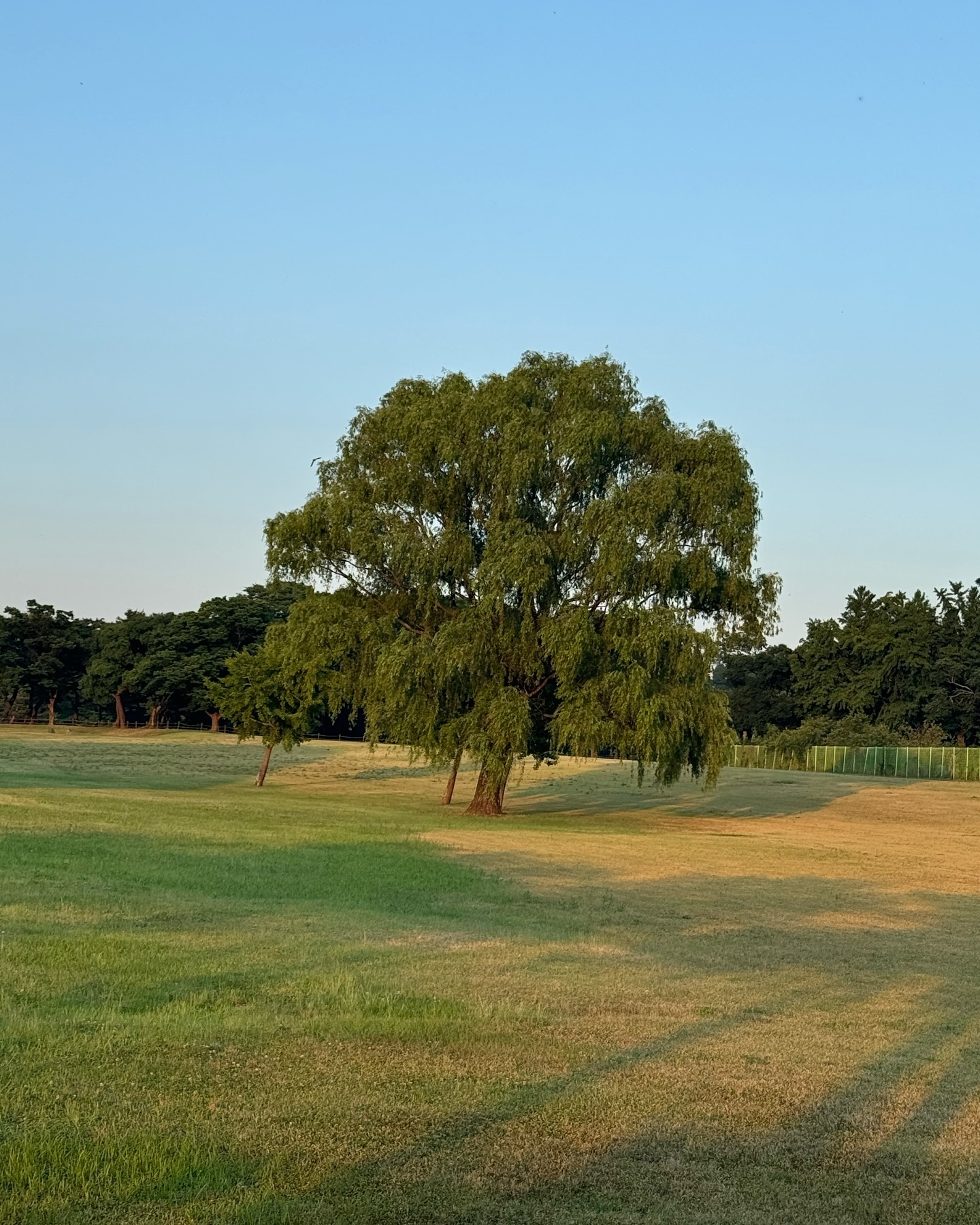 카페가는길 너무 예뻐서 홀린듯이 찍음
귀여운 댕냥이 있던카페◡̈ෆ
.
.

#경주카페 #카페솔
#경주카페추천 #경주여행 #경주가볼만한곳