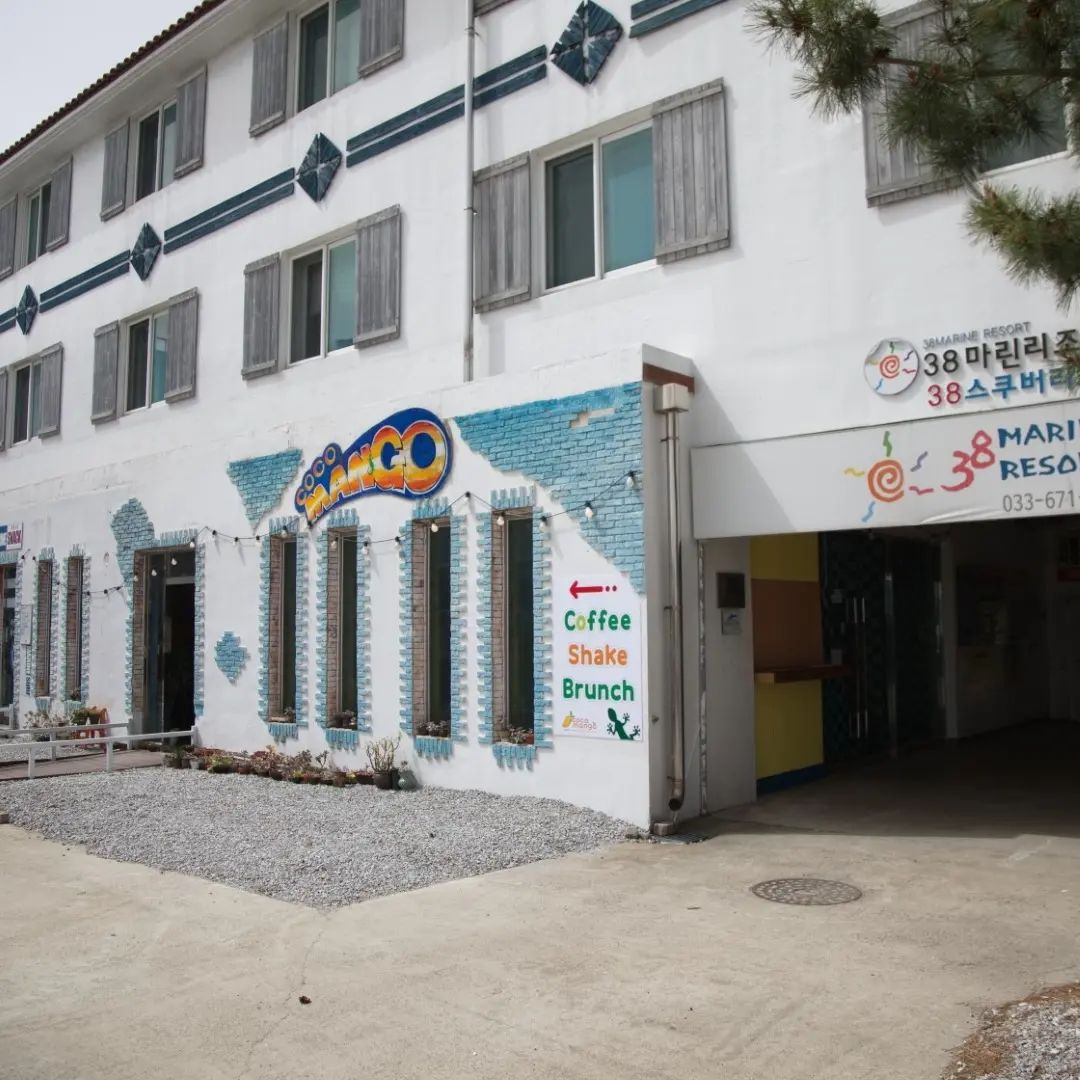 #협찬

추운 한국의 겨울에서 따뜻한 동남아의 여름 날씨를 느낄 수 있는 카페를 아시나요?

강원도 양양의 카페 코코망고에서 저는 여름을 느끼고 왔습니다 :)
강원도라 그런지 날씨는 너무 추웠거든요..

카페 내부에 들어온 순간부터 동남아풍의 인테리어와
생과일을 갈아 만든 쉐이크를 먹으니 잠시나마 동남아에 와있는 듯한 느낌을 받았어요 
생과일을 바로 갈아서 만든 쉐이크라 그런지 뭔가 너무 건강한 느낌이 들어서 매일 먹을 수 있을거 같더라구요♡♡

동남아풍의 매장에서 한겨울의 양양 바다를 보니 뭔가 오묘한 색다른 느낌이 들었는데,
다들 추운 겨울날 양양에 있는 생과일 전문 쉐이크 판매점 코코망고 어떠신가요??

#양양카페 #하조대카페 #기사문카페 #커피맛짐 #망고쉐이크 #바닷가카페