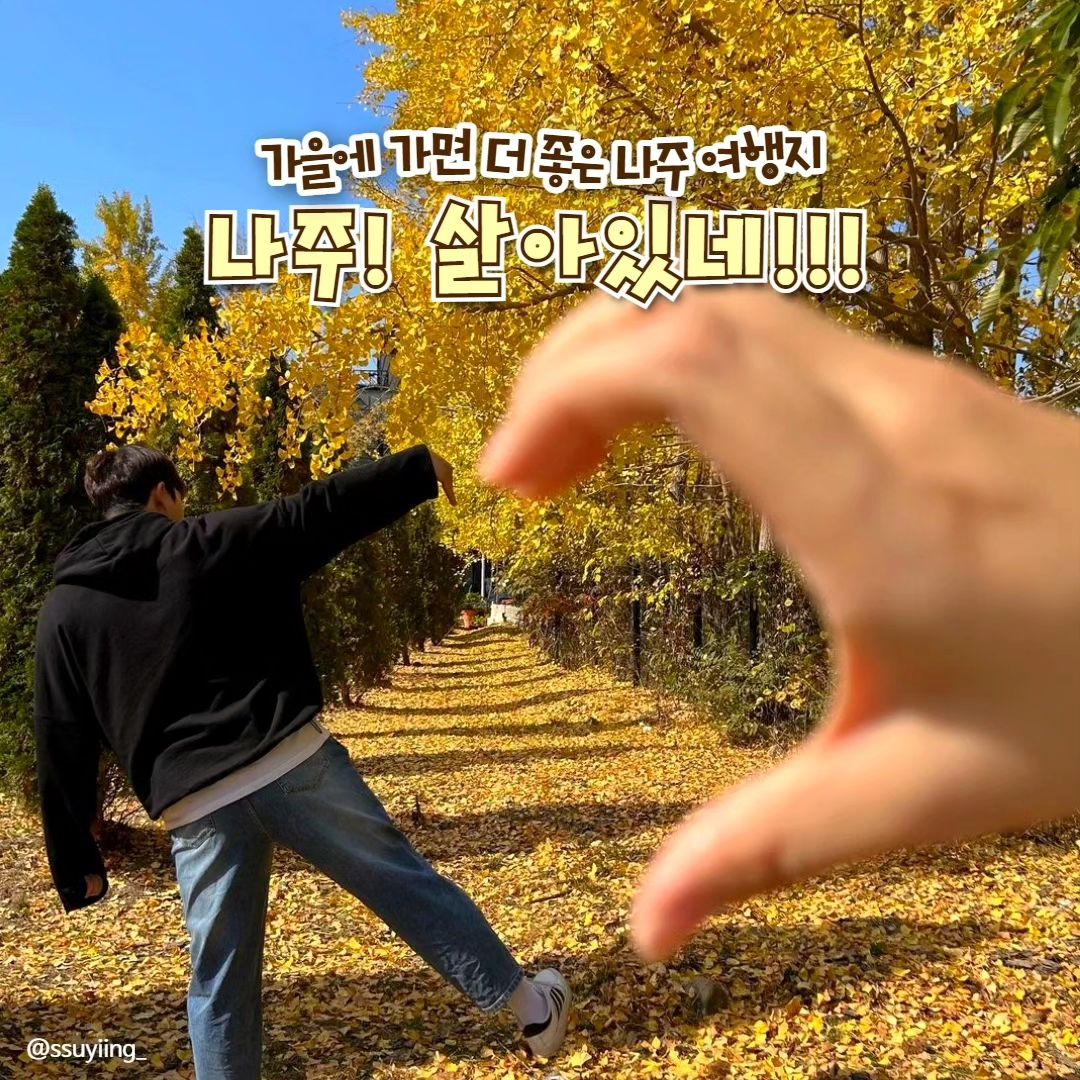 #광고

가을에 가면 더 좋은 나주 여행지🌾

단풍, 은행, 억새까지! 가을 3대장과 함께하는
나주 가을 여행지 모아봤.zip🗂

🤎 #남평은행나무길
가을 하면 은행! 노오란 은행길을 드디어 볼 수 있다!
요즘 인싸 포즈 다 연습해서 집합!

🤎 #불회사
고즈넉한 산사의 풍경은 보기만 해도 심신이 안정되는 느낌!
울긋불긋 가을 풍경이 정말 예술이야!

🤎 #나주산림자원연구소
가을이 되면 커플들 인생샷 성지로 바글바글 🥰
메타세콰이어길에서 산책도 하고 힐링도 하고 사진도 많이 찍기~

🤎 #영산강갈대밭
영산강에 가을이 오면 코스모스, 억새, 예쁜 노을까지!
울긋불긋 예쁜건 다 모인다는 사실!

🤎 #빛가람호수공원
낮에도 너무 예쁘지만 밤엔 더 예쁜 빛가람 호수공원!
tip! 밝은색 옷 입으면 사진이 더 이쁘게 나온대~(소근소근)

🤎 #나주황포돛배
탁 트인 풍경에 영산강 한바퀴 어때? 이색 체험으로 추천~!

🤎 #나주박물관
뻔한 박물관 No! 실감 콘텐츠 체험관과 분기별로 다른 전시회가 준비된 특별 전시관까지! 역사와 전통을 즐겁게 배울 수 있어!
* 상설 전시실은 2023년 11월까지 휴관! 참고!

🤎 #2023나주축제 #영산강은살아있다
영산강 둔치 체육공원에서 열리는 나주 축제!
아름다운 영산강에서 10일간 가을을 듬뿍 느껴봐~🌾🌾
- 장소: 나주 영산강둔치체육공원
- 날짜: 10월 20일 ~ 10월 29일

#대한민국구석구석 #나주 #나주여행 #나주가볼만한곳 #나주여행지 #나주데이트 #단풍명소 #2023단풍절정 #나주단풍 #영산강억새 #영산강코스모스  #나주축제 #가을인생샷