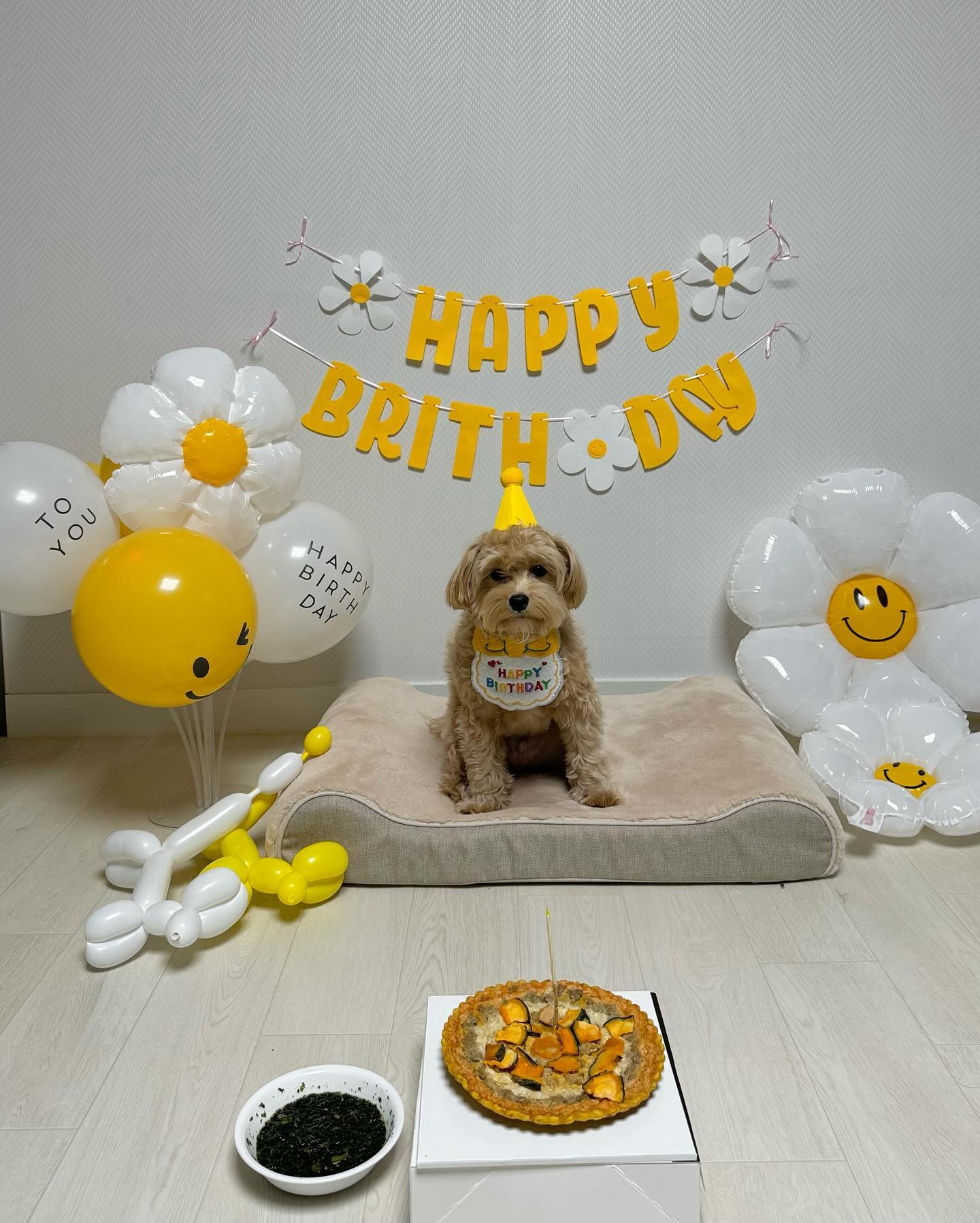 23 . 12 . 21  뽀리 탄생일 🐶🥳

#생일축하해 #말티푸 #강아지케이크 #반려일기