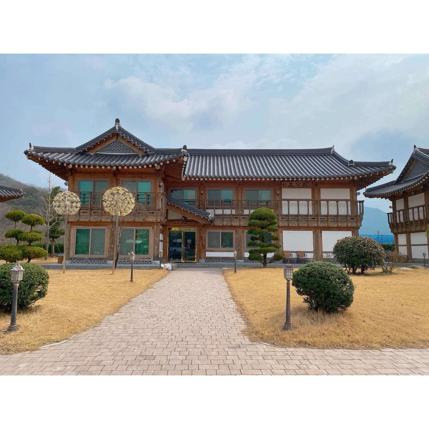 20240317 이번주는 전주!! 잘 놀다 갑니댜🥹 여긴 벌써 꽃이폈네..😳🌸