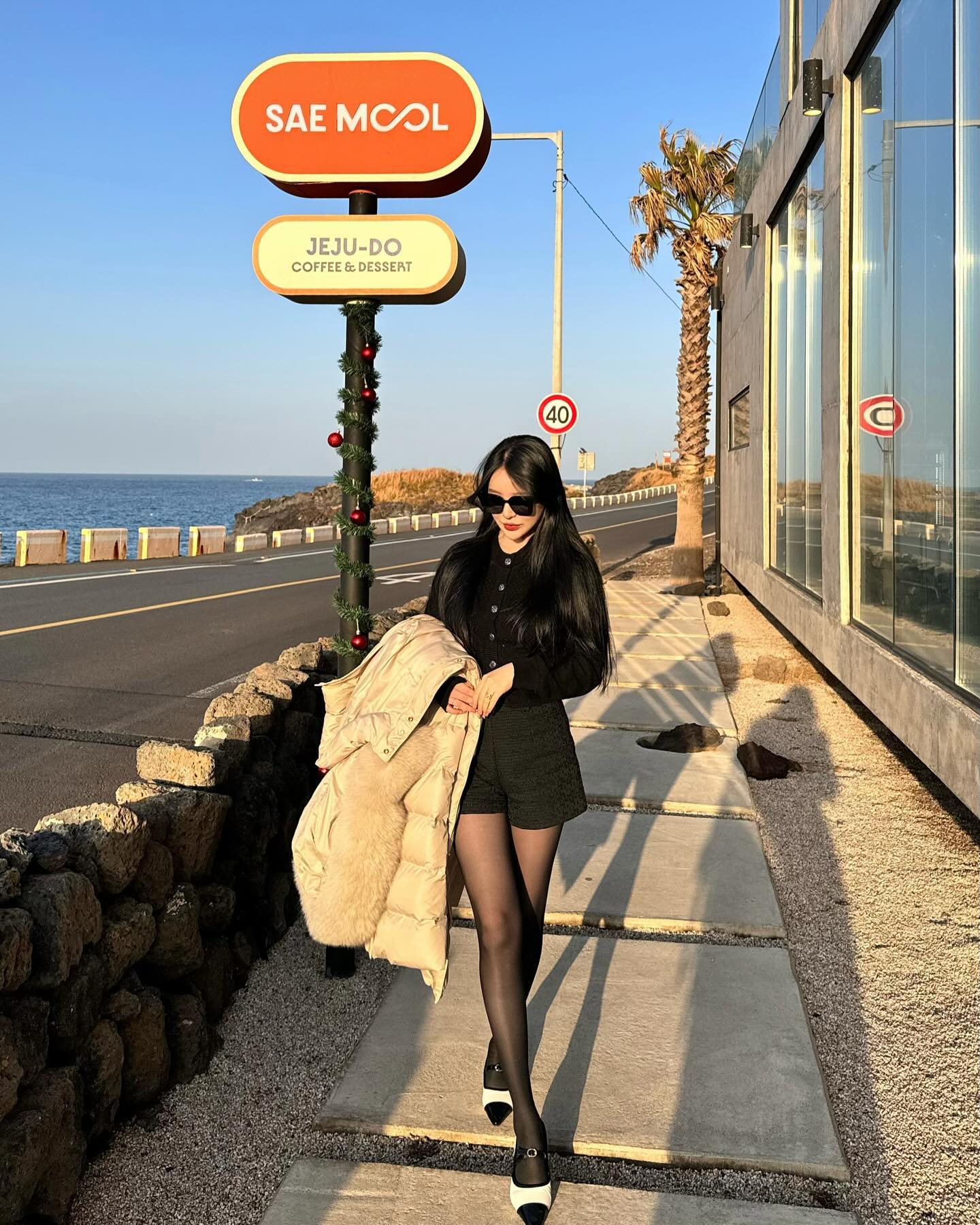 12월의 제주 ♡ ⋆⁺₊⋆ ☾⋆⁺