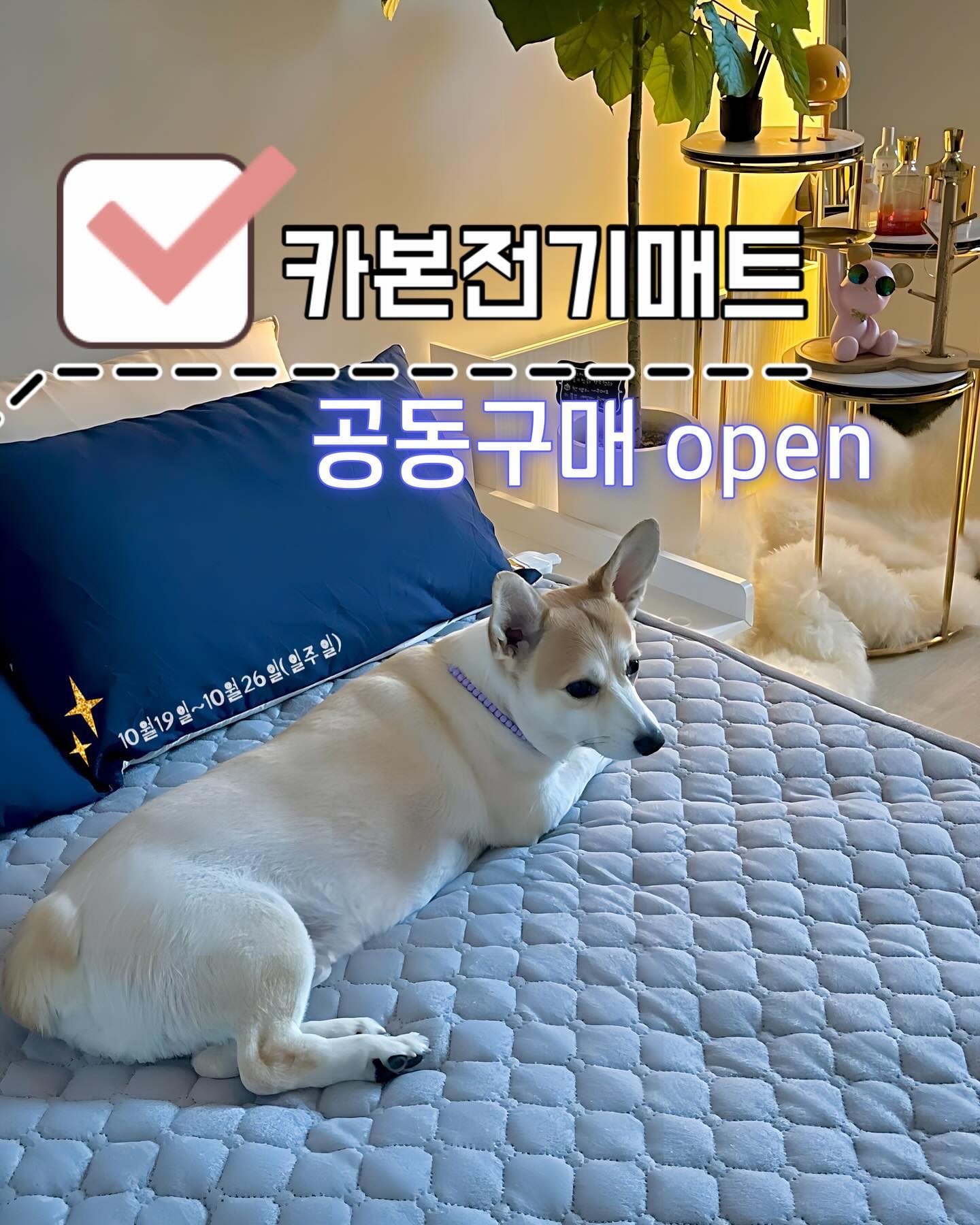 #전기장판 공구open
🚨10/19(목)~10/26(목) 단 일주일만!🚨
.
.
🔻네이버포인트 최대 2만원적립
🔻네이버포인트 사용가능
🔻원적외선 90.1%
🔻전자파차단/ 통세탁가능
🔻30분간 움직임 없을시 자동 전원차단
🔻롯데/현대/신세계/애경플라자 백화점 입점

🔻S/S(싱글) 정상가_ 315,000원(❌)
_공동구매 가격 -> 199,000원(⭕️)
🔻Q(퀸) 정상가_ 355,000원(❌)
_공동구매 가격 -> 219,000원(⭕️)

🌀구매링크 프로필상단_ s_dailys_ 
_________________________________🚨
왠 음식이 아닌 전기장판을 가져왔냐구요!!?
작년보다 겨울이 빨리 온다고해요!!:)
추위가 더 오기전에 난방비는 줄이고⤵️
카본전기매트로 전기세도 줄이고👍

물론 공동구매지만 가격대는 있어도,

하루 8시간*30일기준 1,500원도 안나온다는 사실🫢

❗️일반 전기장판 기준❗️
(월평균 적게는 30,000원~80,000원이상)

올해 난방비,전기세 폭탄으로 왕창 깨지는것보단,
카본전기매트 찐추천템（ 」｀д´)」!!🔥

협찬이아닌, 내돈내산으로 써보고 공구 진행중!!🔥
네이버구매시 포인트도 사용가능하고,
네이버포인트로 최대20,000원까지 가보자규!!₍₍ (ง ˙o˙)ว ⁾⁾🔥
.
.
.
#전기매트 #카본전기요 #전기장판공구 #전기요 #전기요금 #공구중 #공구오픈 #공구진행 #육아템 #추천템 #가성비 #가성비갑 #가성비맛집 #일상 #일상소통 #전자파차단 #전자파없는전기매트 #백화점쇼핑 #데일리 #데일리스타그램 #오늘뭐하지 #오늘뭐사지 #쇼핑 #쇼핑스타그램 #먹팔 #먹스타맞팔 #먹스타소통 #먹스타그램맞팔