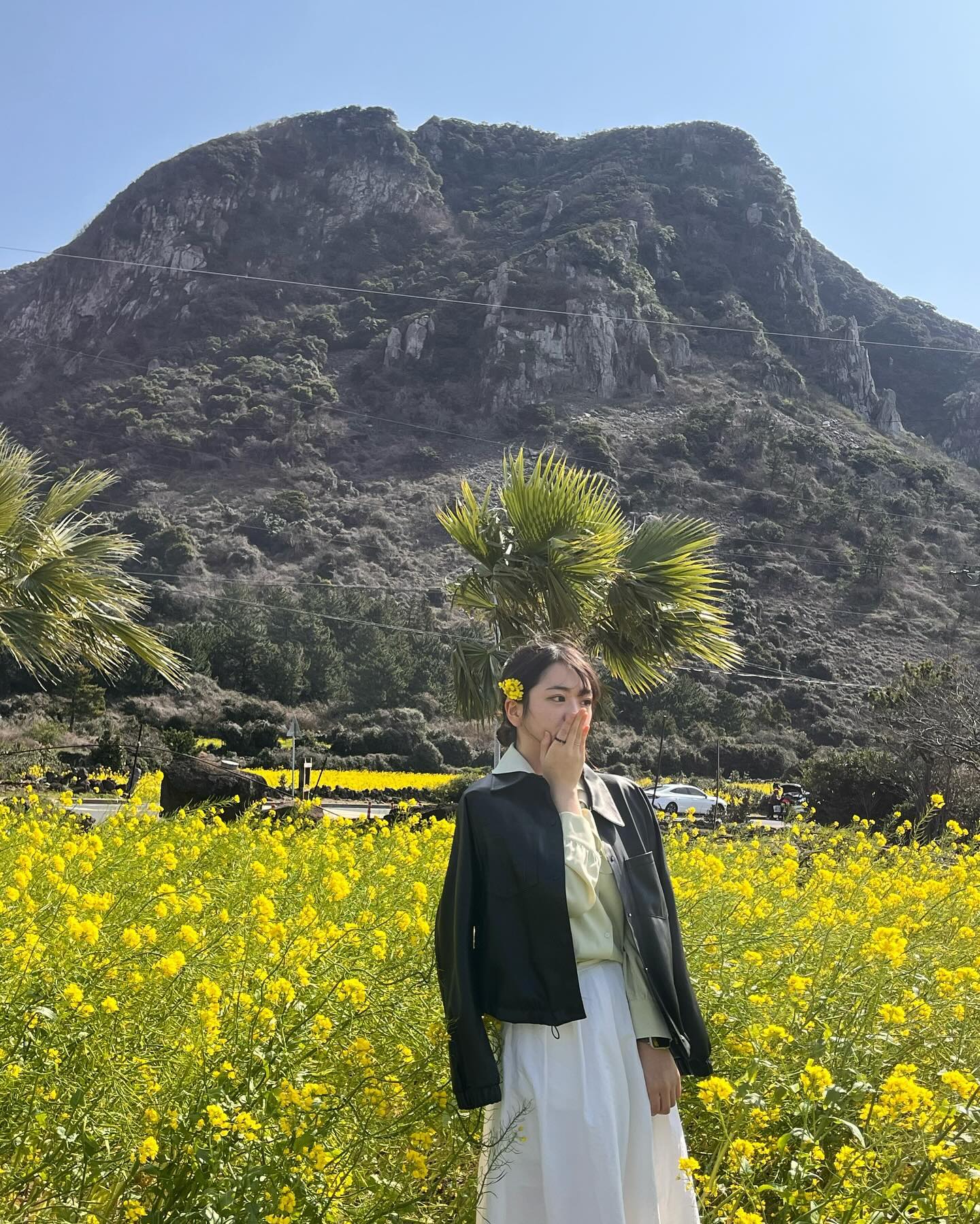 제주도에 많은 3가지
바람 
바람
바람….