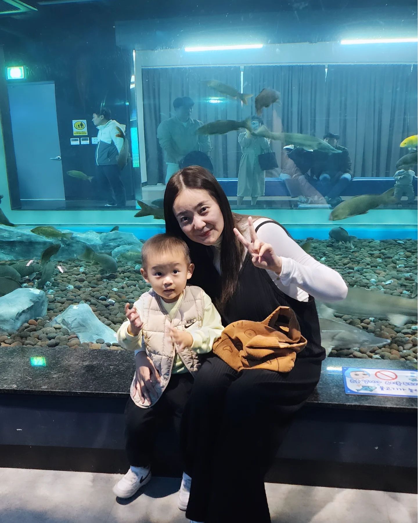 충북에 민물고기 생태관 다녀옴:)

생각보다 볼거 많았음ㅎ

나와서 모래놀이도 있어서 한참 하고 지금
인천 가는 길~~

굼벵이 만진거 충격...

#김태민 #굼벵이 #충북 #충북아쿠아리움 #무료임