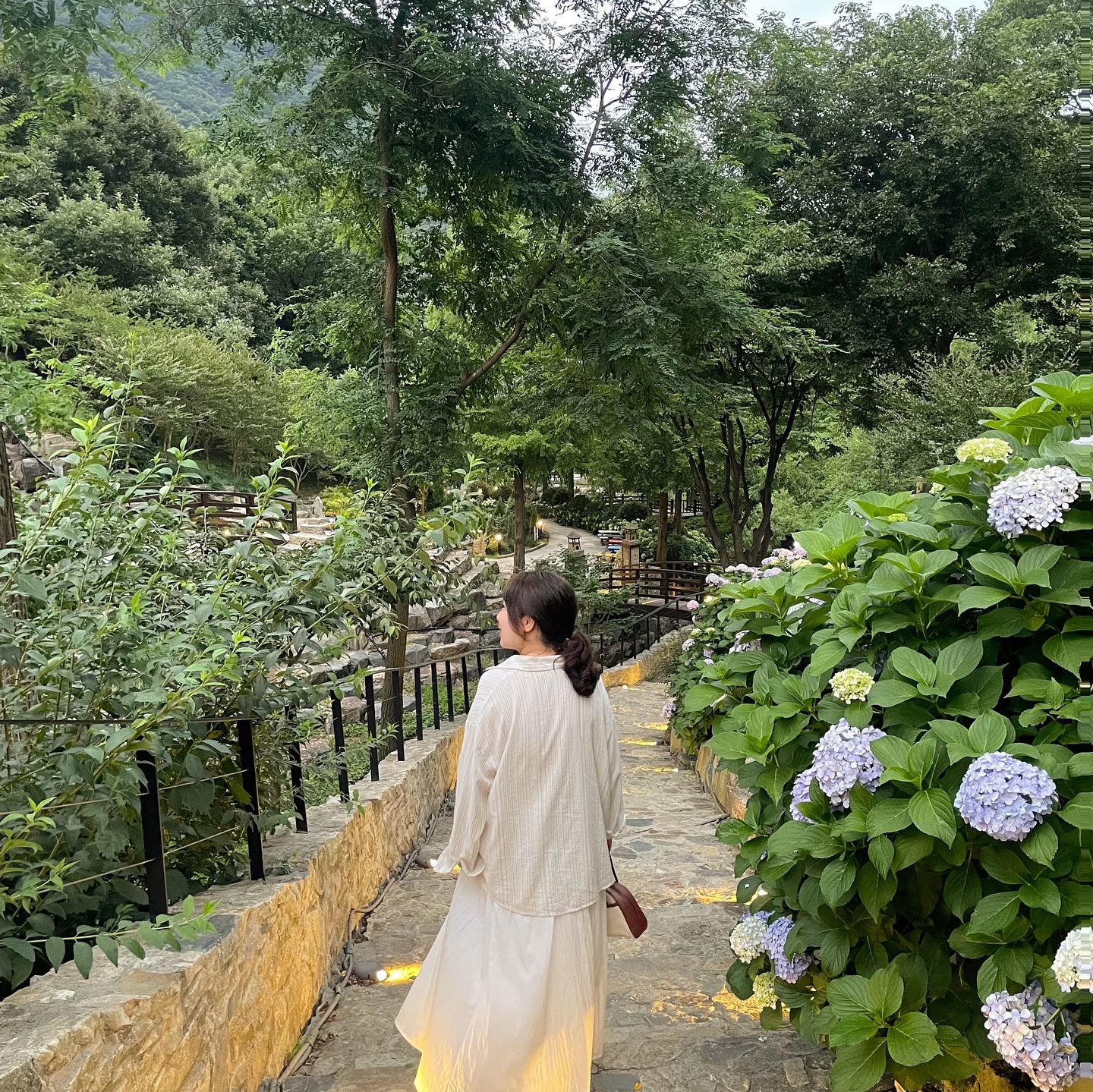 여름이다냥🌱