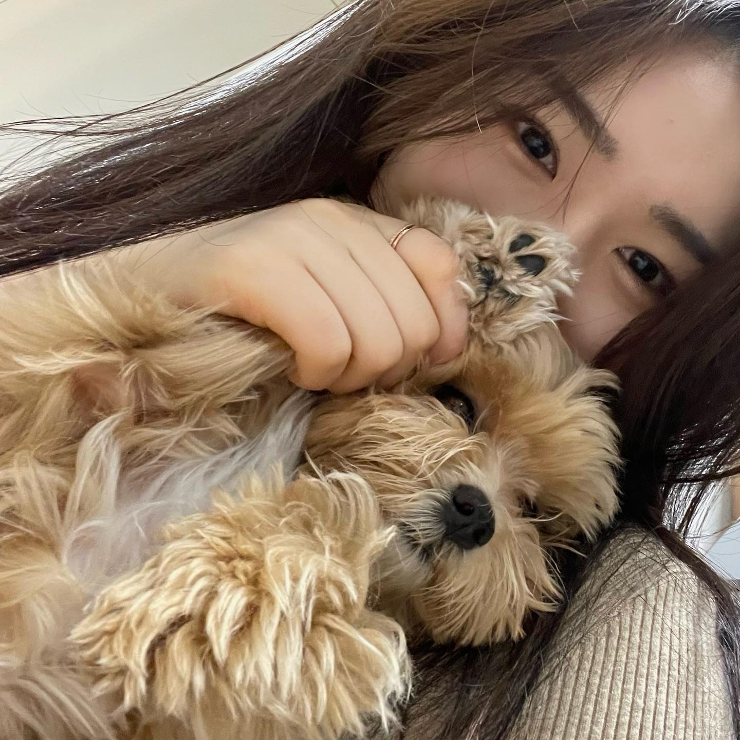기여운 레오 공주 모음🐾🐶🩷
#멍스타그램 #강아지 #말티푸 #개스타그램