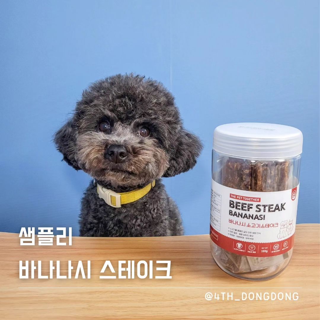 🎁업체로부터 제공받은 제품입니다🎁
#샘플리 #바나나시 samplely90

나 이동동, 대구에 있는 일주일 동안 스트레스 받아서
서울오자마자 바나나시 스테이크 한 가치 빨아봤다 😎
(만20살 토이푸들 봉구옹께서 대구에서 24시간 밀착감시하심)

[바나나시 스테이크 육포]는
▪️나처럼 스트레스 받은 댕댕이들 스트레스 완화에 좋고
▪️고단백 저지방이라 살 찔 걱정은 조금이라도 덜 수 있고
▪️적당한 강도로 치석제거, 분리불안 해소에 도움을 줄 수 있다규 😊

또 간식을 고를 때 중요한 건 기호성과 안전성이게찌?! 😆
▪️100% 소고기 스테이크 원물이라 기호성은 말모말모
▪️휴먼그레이드국내산 소고기 통째로 들어가서 믿을 수 있고
▪️당연히 화학 첨가물은 절대 No

나처럼 삶에 지친 댕댕이들
우리 같이 바나나시 스테이크 한 가치 물고 이겨내보자 😂

#애견간식 #무방부제 #무방부제간식 #스테이크육포 #분리불안해결 #강아지분리불안 #강아지치석 #치석제거 #치석제거껌 #고단백저지방간식 #고단백간식 #스트레스완화 #강아지간식 #강아지간식추천 #반려견간식 #강아지육포 #강아지수제간식추천 #반려견수제간식추천 #반려견수제간식 #강아지져키 #애견수제간식추천