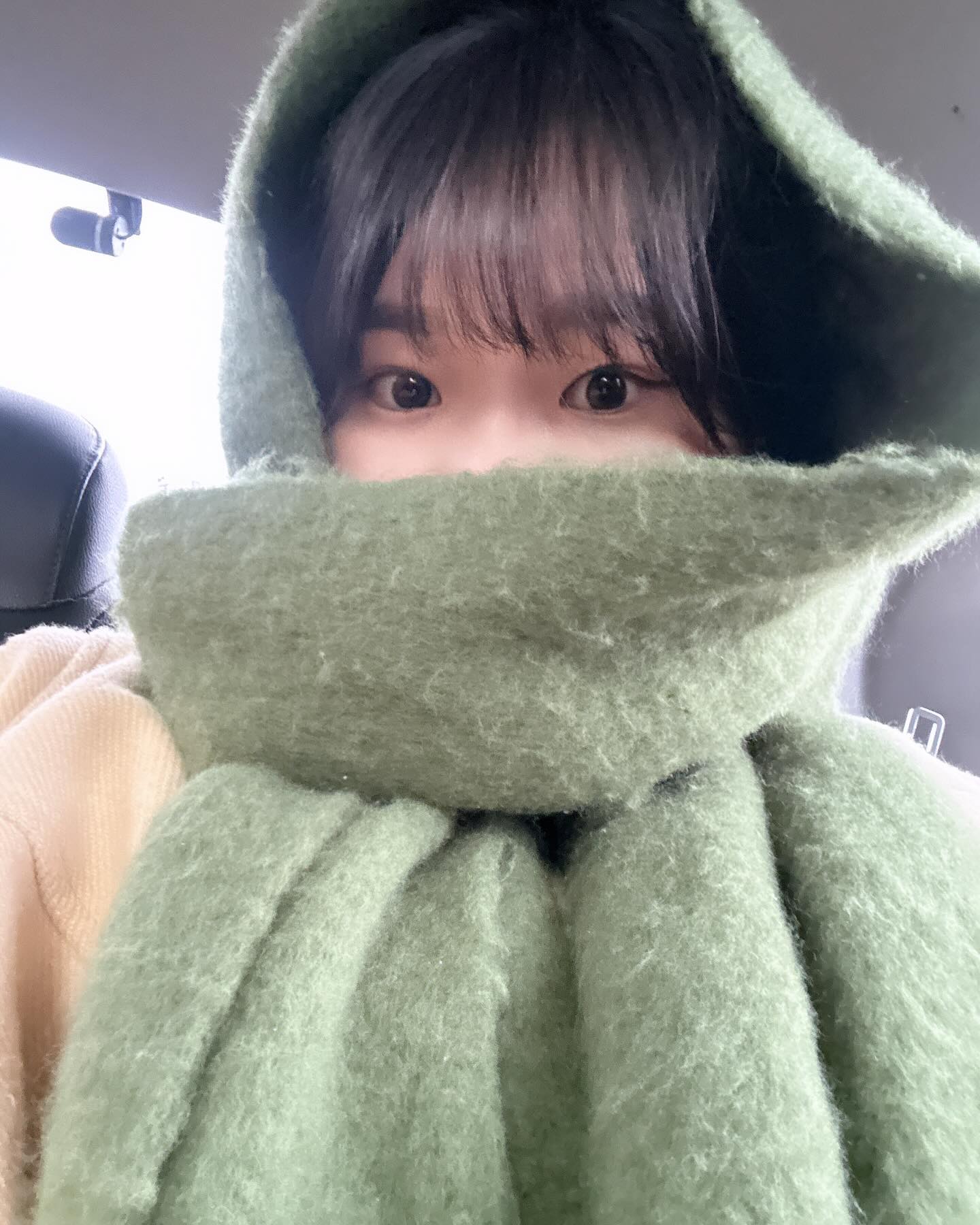 ❄️겨울 조아❄️