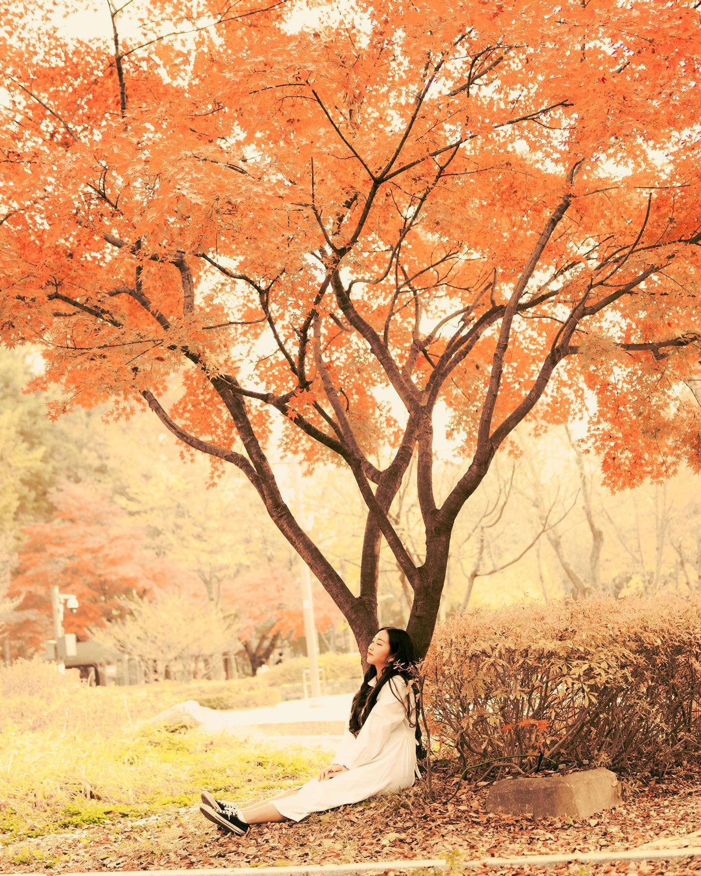 잘 가, 가을🍂

Photo. 97sdsdsd